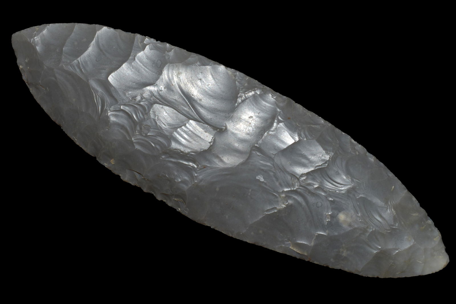 5 5/8" Harahey, Motley COA, Recovered in Cumberland Co. (1 of 5)