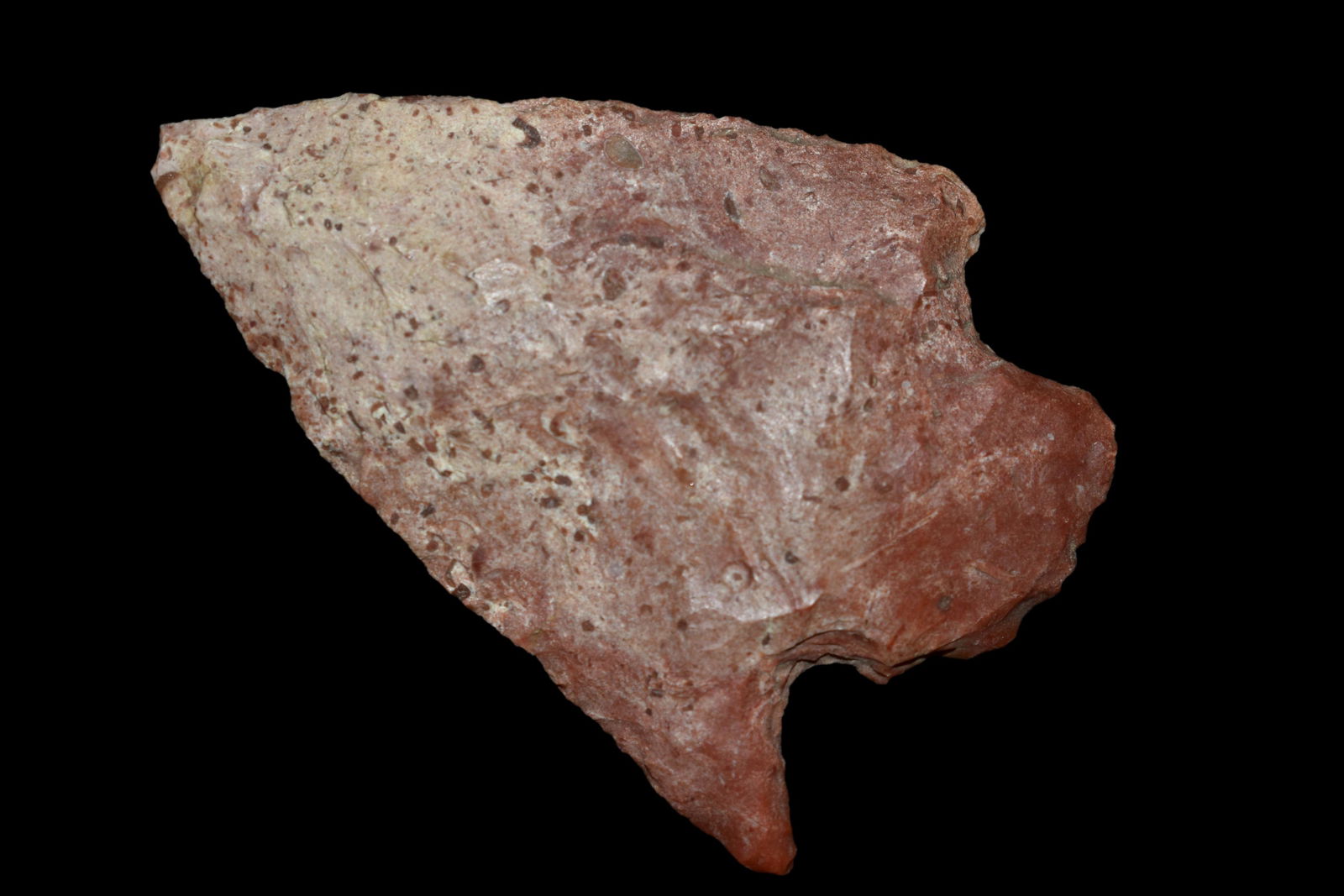 2 5/8"Snyders, Recovered In Jersey or Greene Co. IL,: 2 5/8"Snyders, Recovered In Jersey or Greene Co. IL,