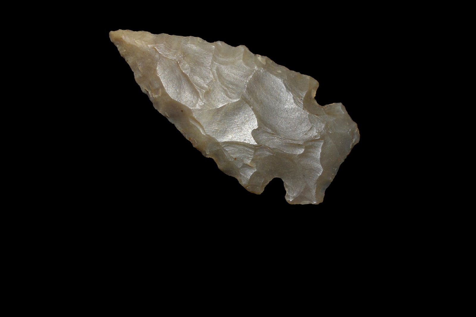 1 1/4" Side Notch Bird Point, Recovered in TN, (1 of 4)