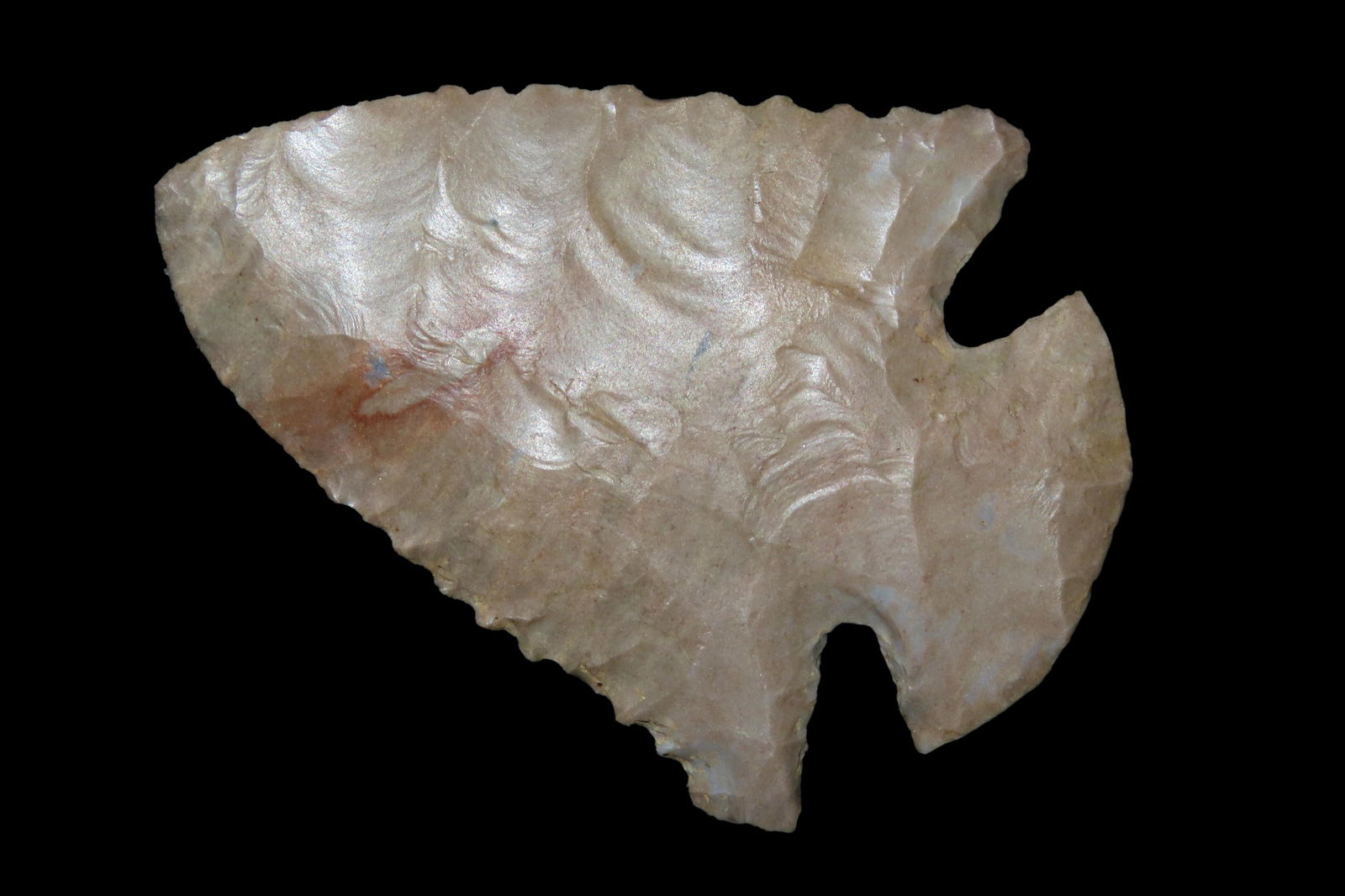 2 5/8" Dovetail, Recovered in Lauderdale Co. Alabama, (1 of 7)