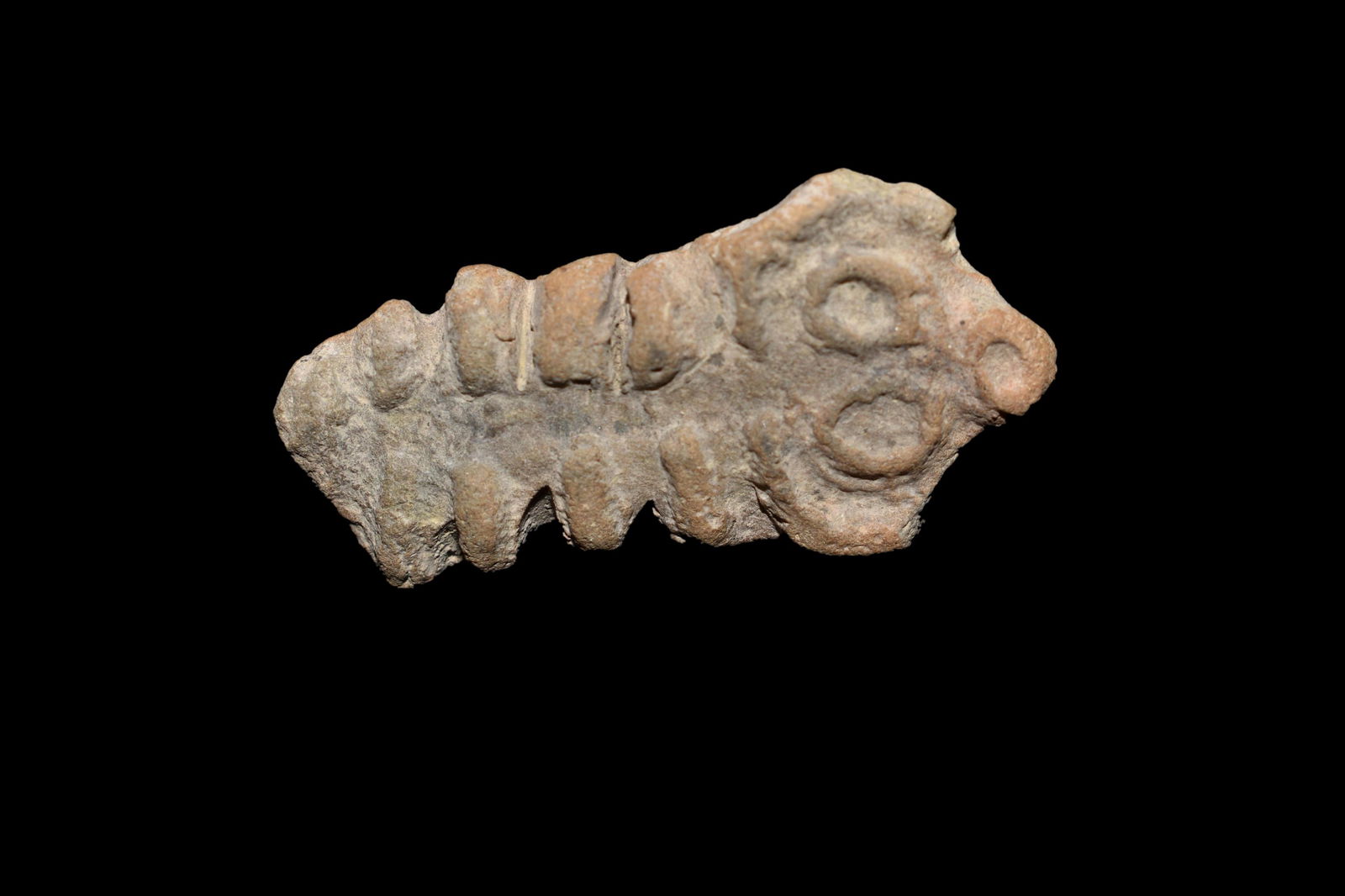 Teotihuacan Insect Stamp from Mexico, ca. 400 â€“ 750 (1 of 5)