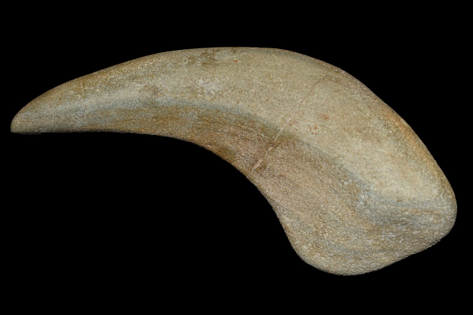 Stone Jaguar Claw Amulet; Costa Rica, ca. 500 â€“ (1 of 6)