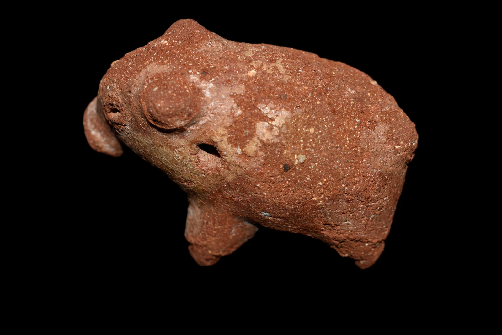 Nicoya Zoomorphic Peccary Effigy; Costa Rica (1 of 6)