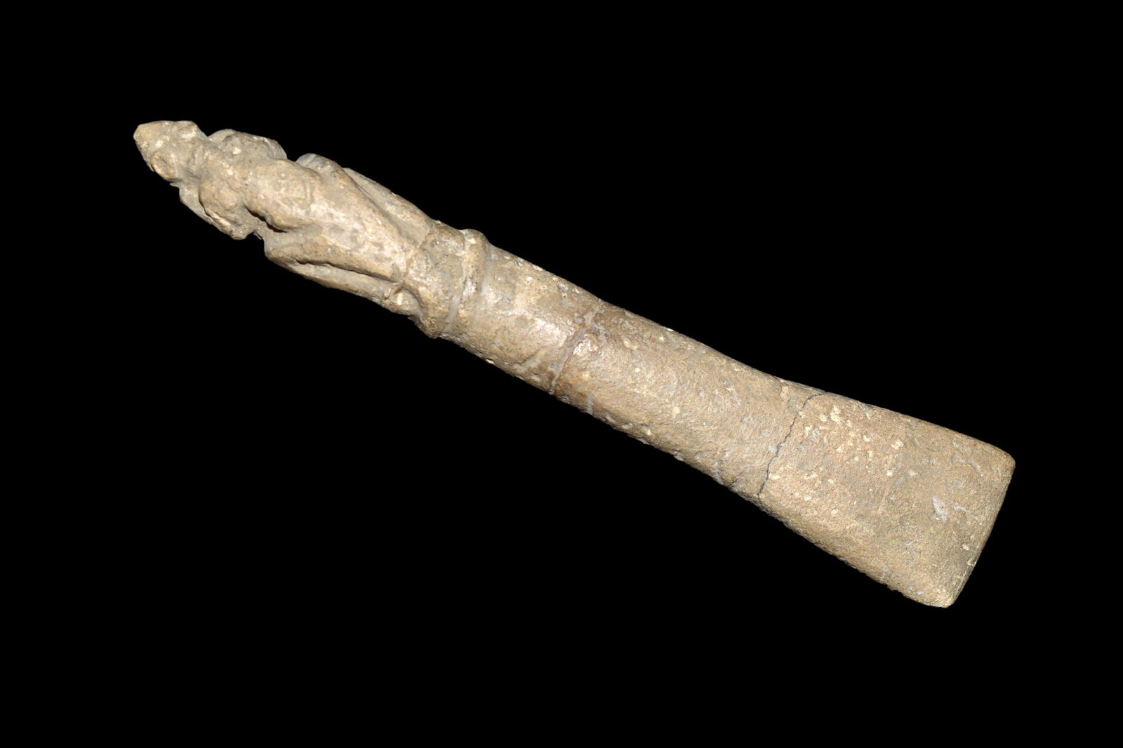 Shamanic Ceremonial Implement from Costa Rica (1 of 7)