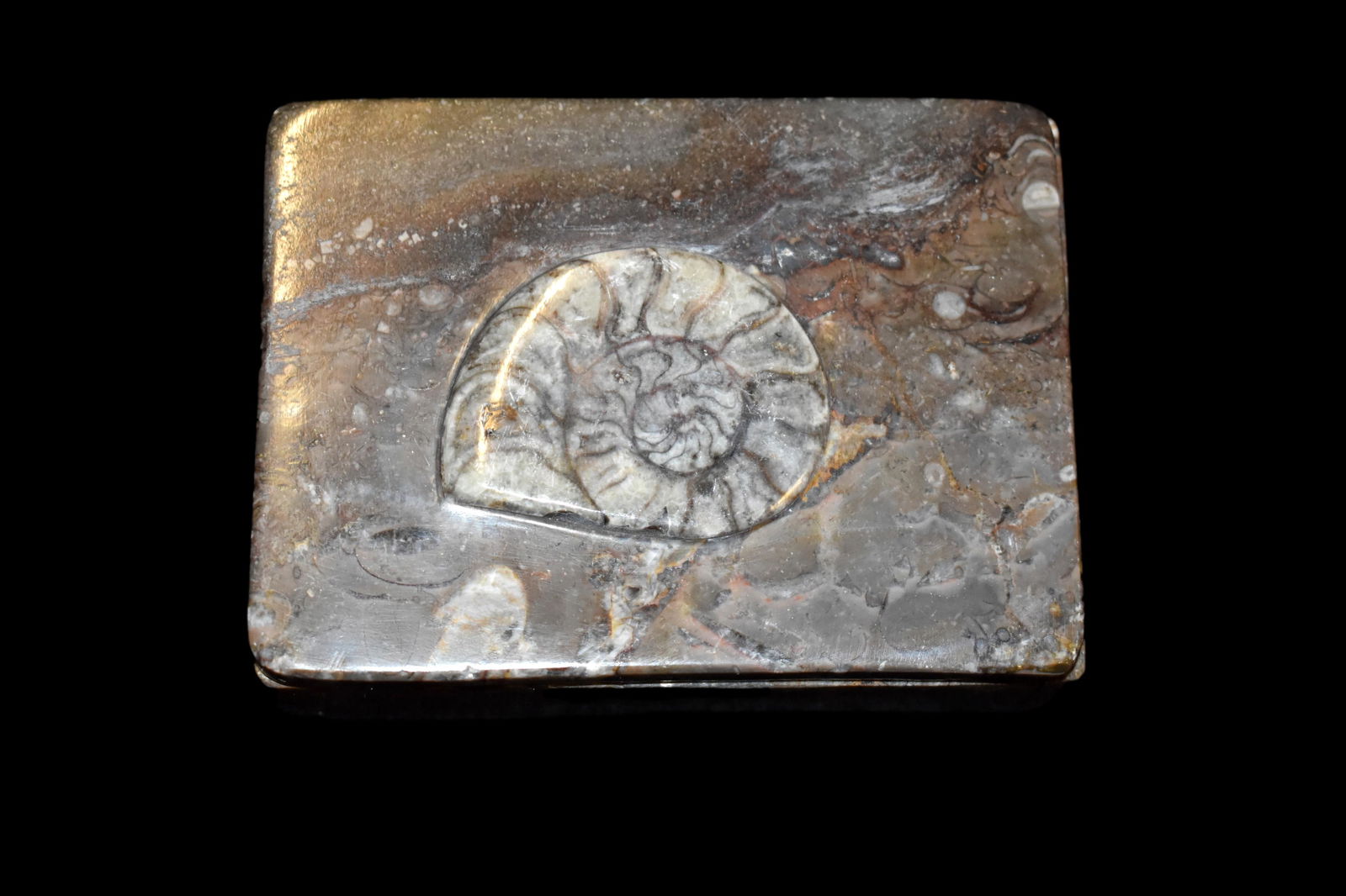3 1/2" x 4 3/4" Ammonite fossil jewelry box (1 of 5)