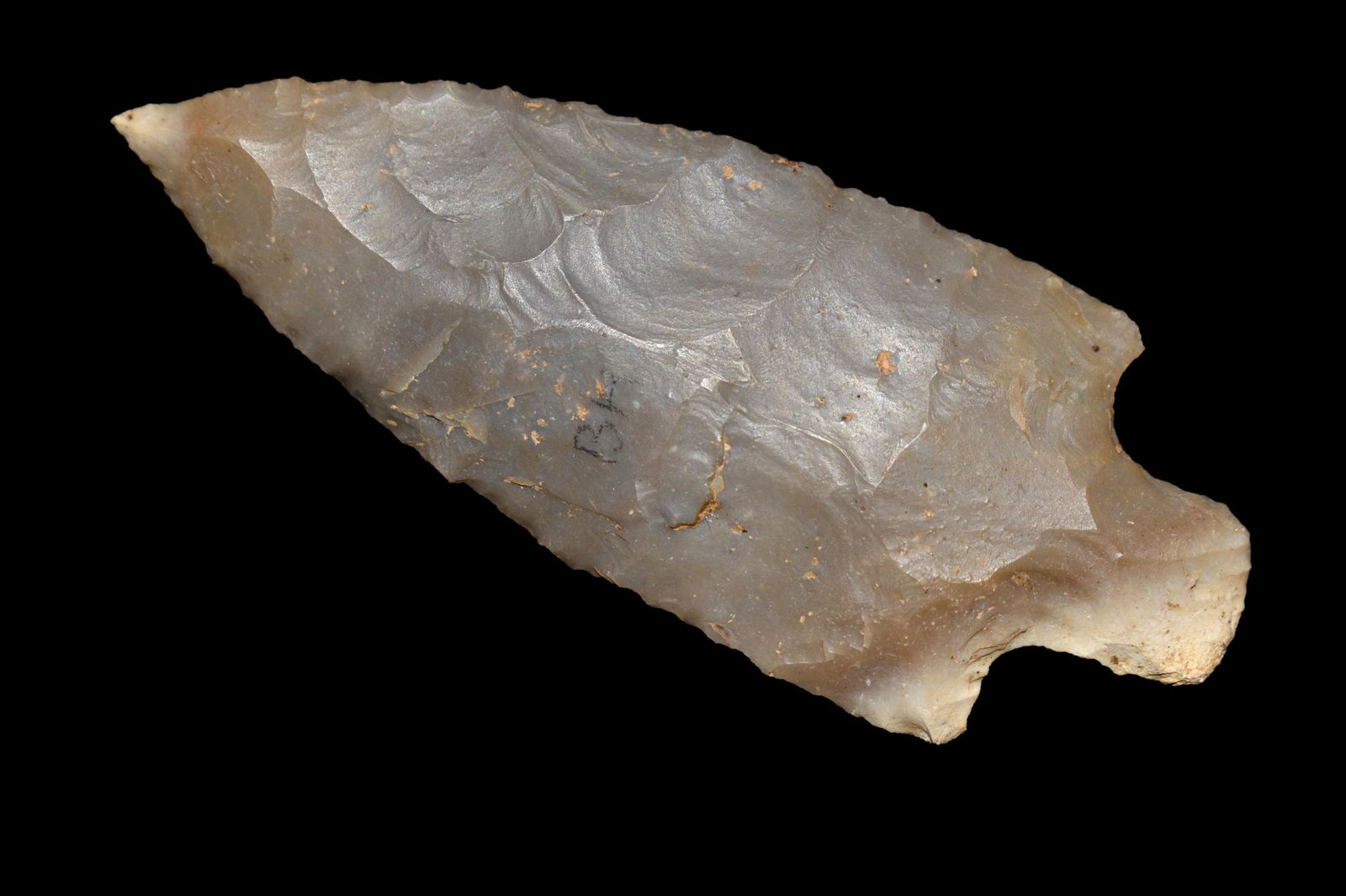 3 1/8" Little Bear Creek, J. Dickey COA, Recovered from (1 of 8)