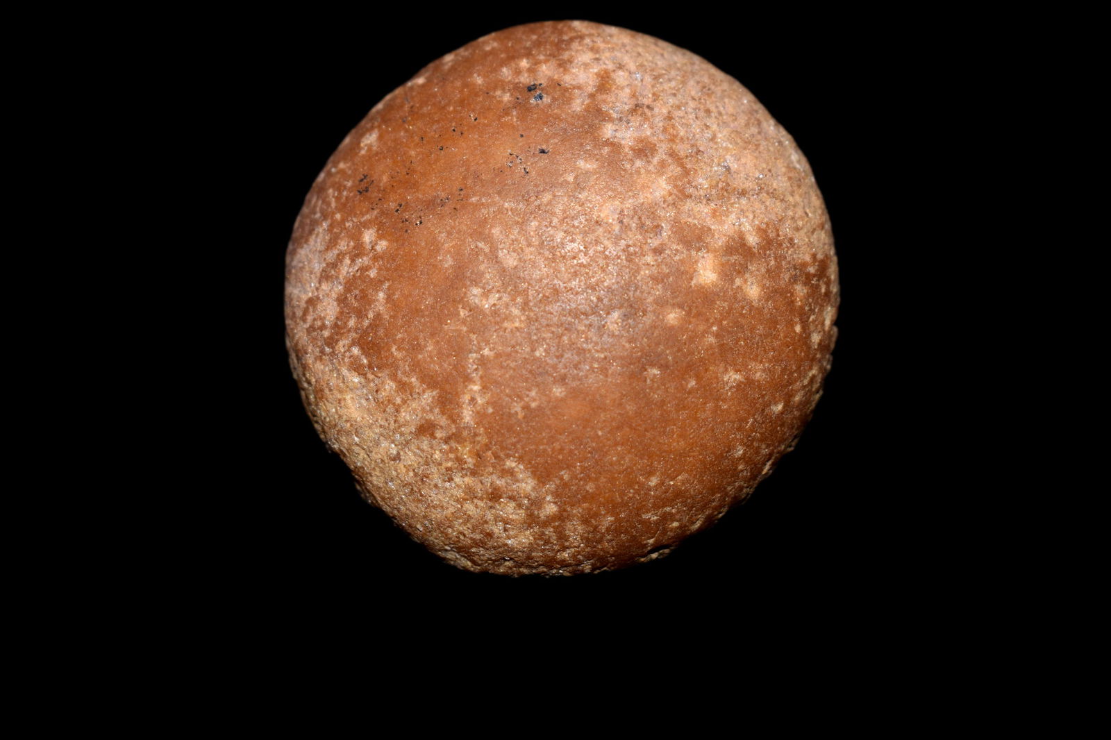 1 1/2" Hammerstone, Southeast Iowa, Native American (1 of 5)