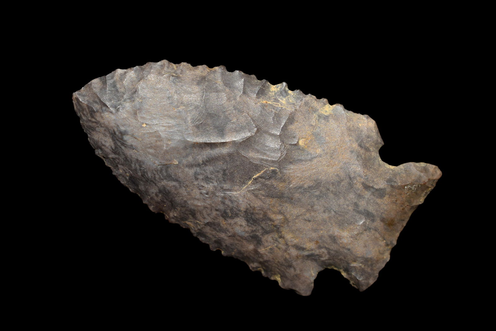 2 3/8" Serrated Stillwell, beautiful multi brown, (1 of 5)