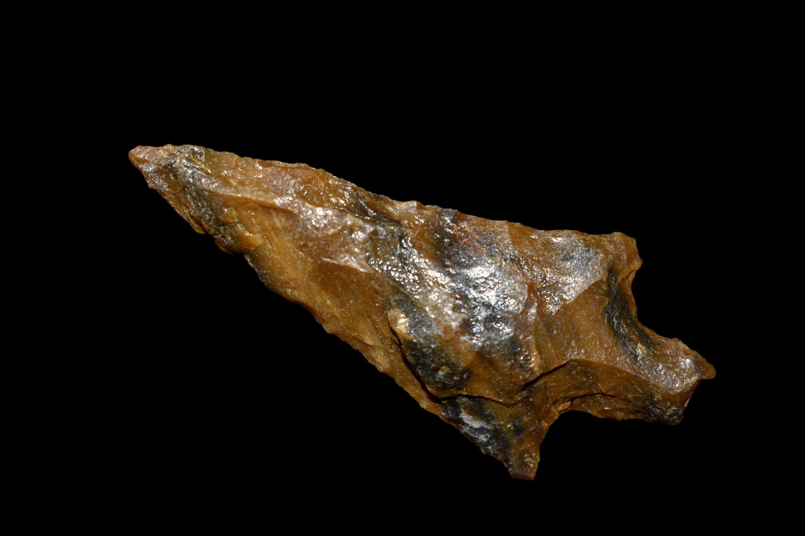 2 1/4" Petrified Wood Point, Western United States, (1 of 6)