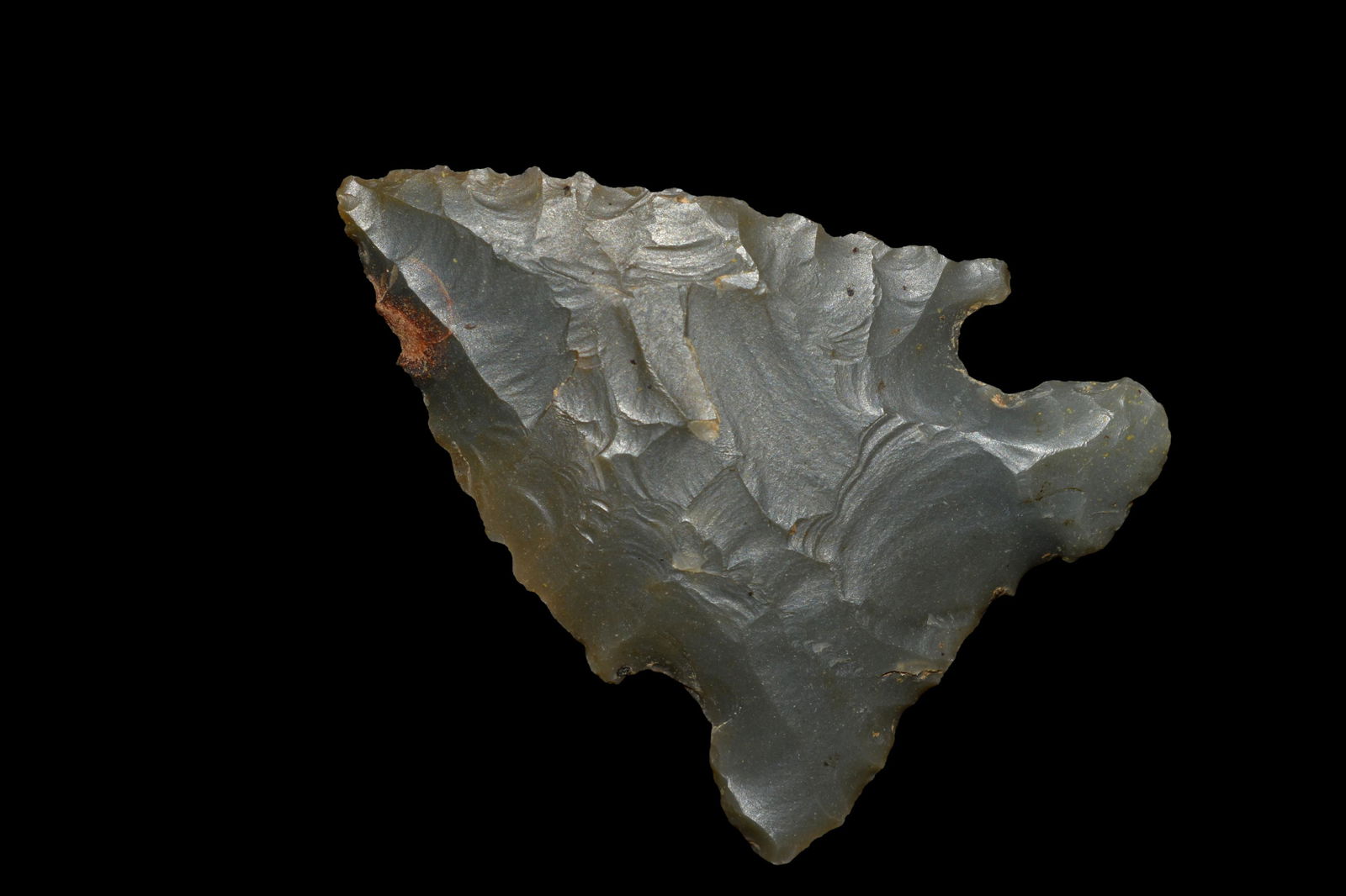 1 5/8" Pine Tree, Alabama, ex Jerry Dickey, Authentic (1 of 4)