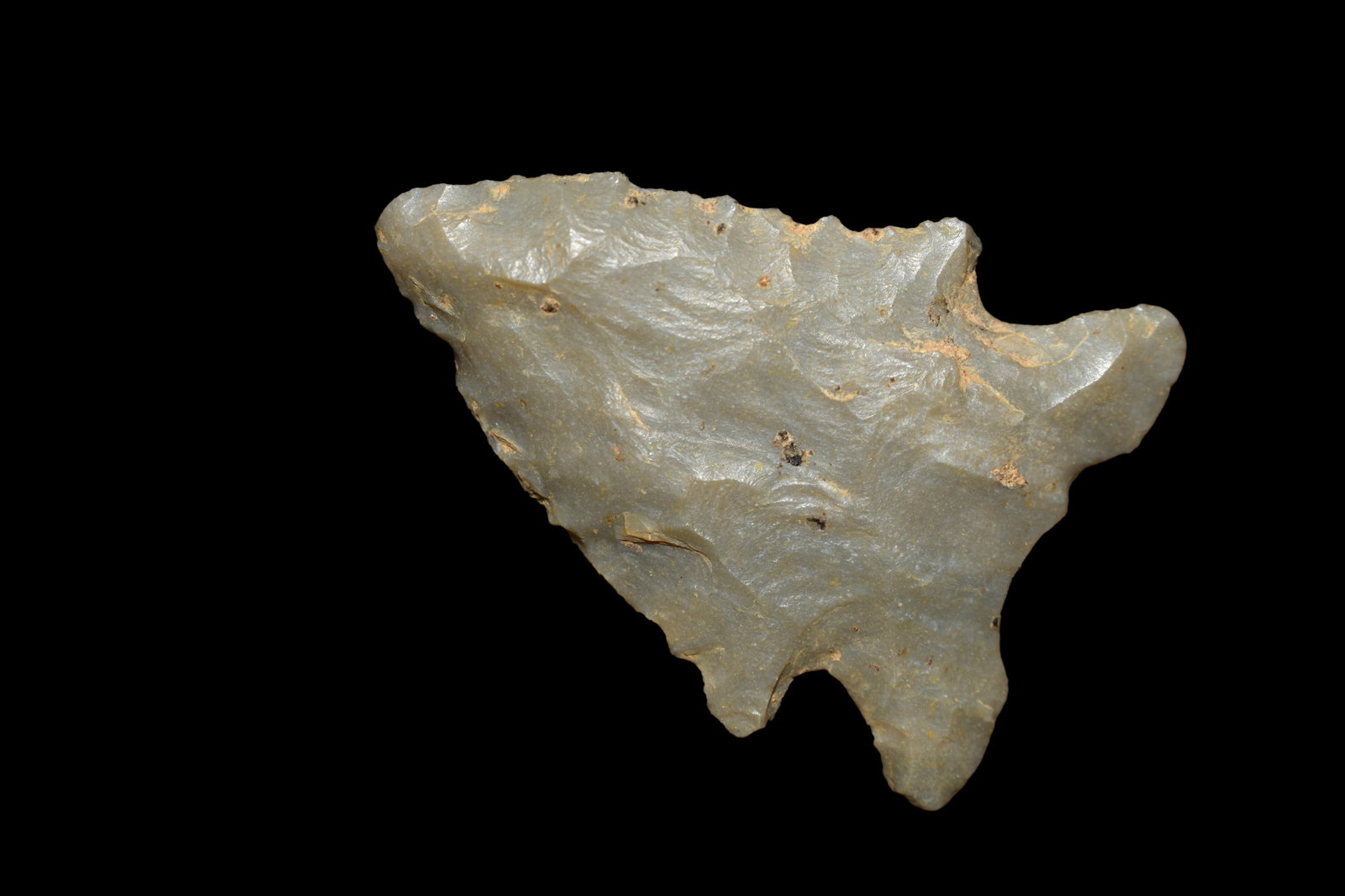 1 5/8" Pine Tree, Alabama, ex Jerry Dickey, Authentic (1 of 5)