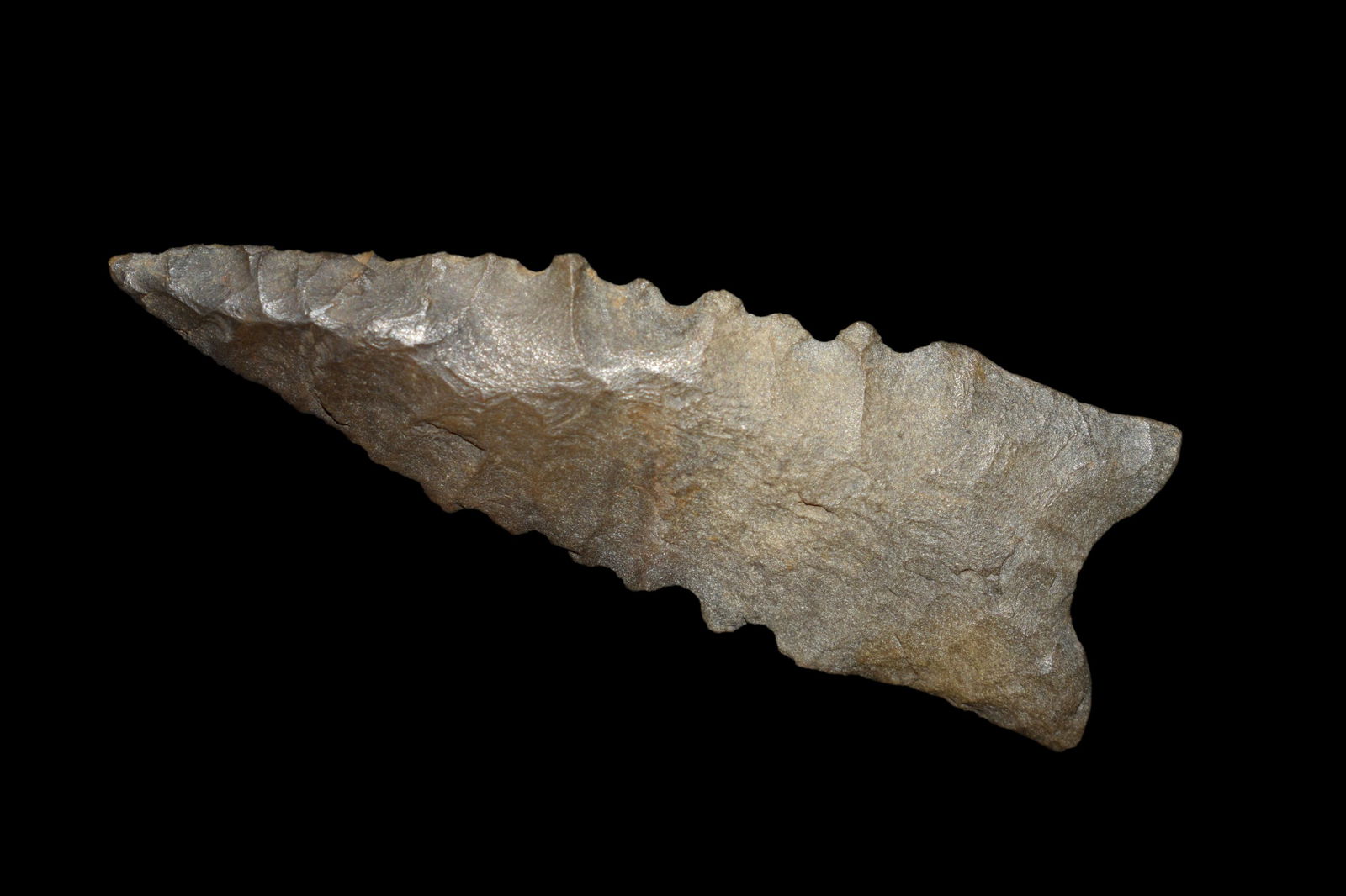 2 3/8" Serrated Dalton, Nicely made, Tennessee (1 of 5)