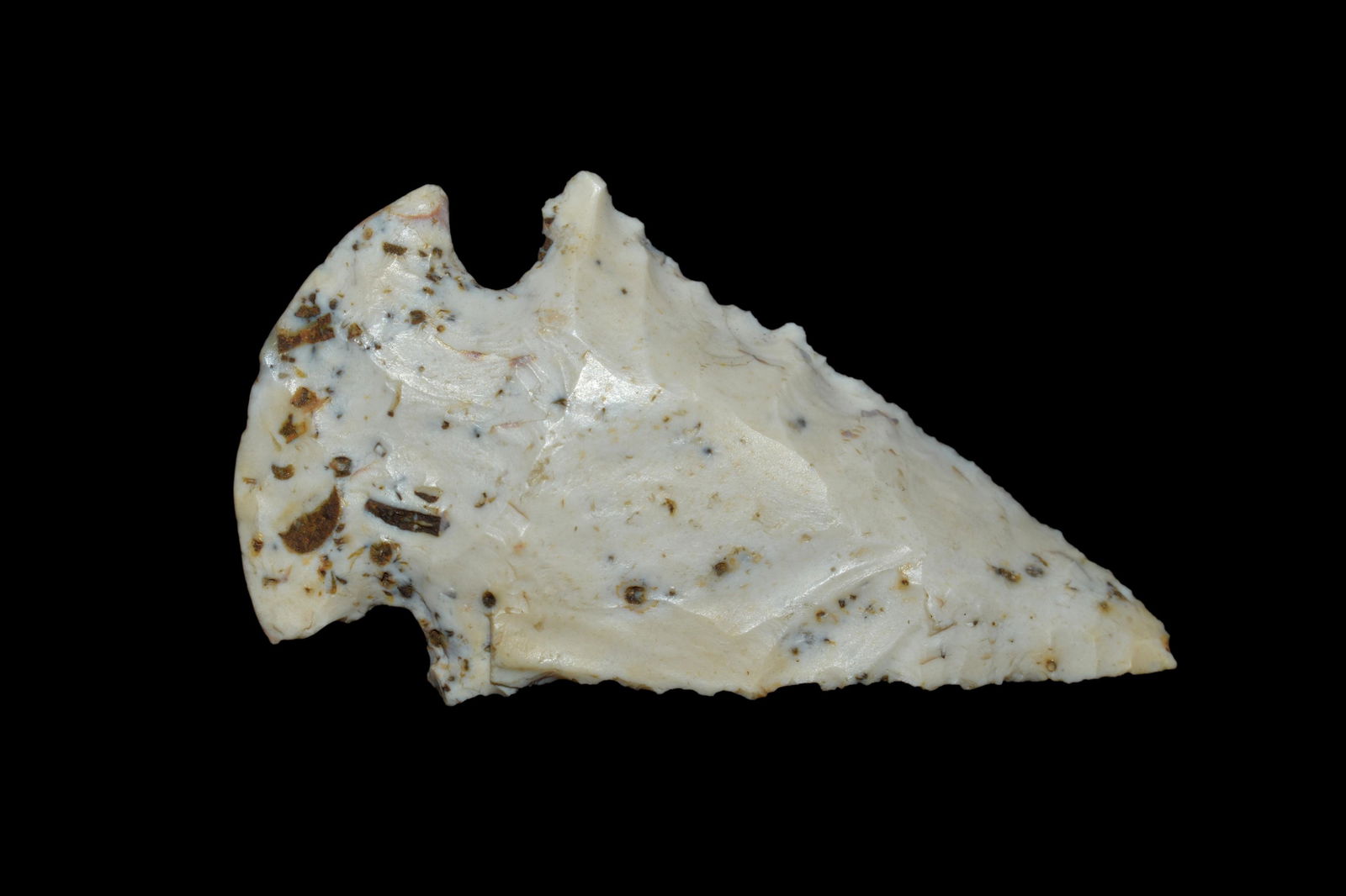 2 1/8" Dovetail, Starved Rock Illinois: 2 1/8" Dovetail, Starved Rock Illinois