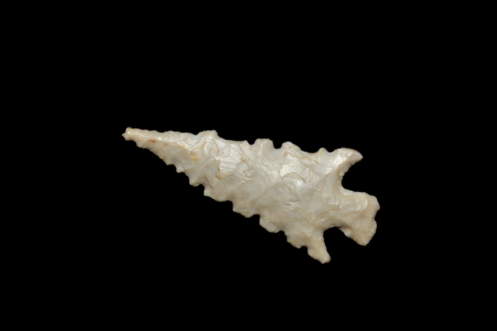 High Grade Bird Point Found in Denton County Missouri b (1 of 4)