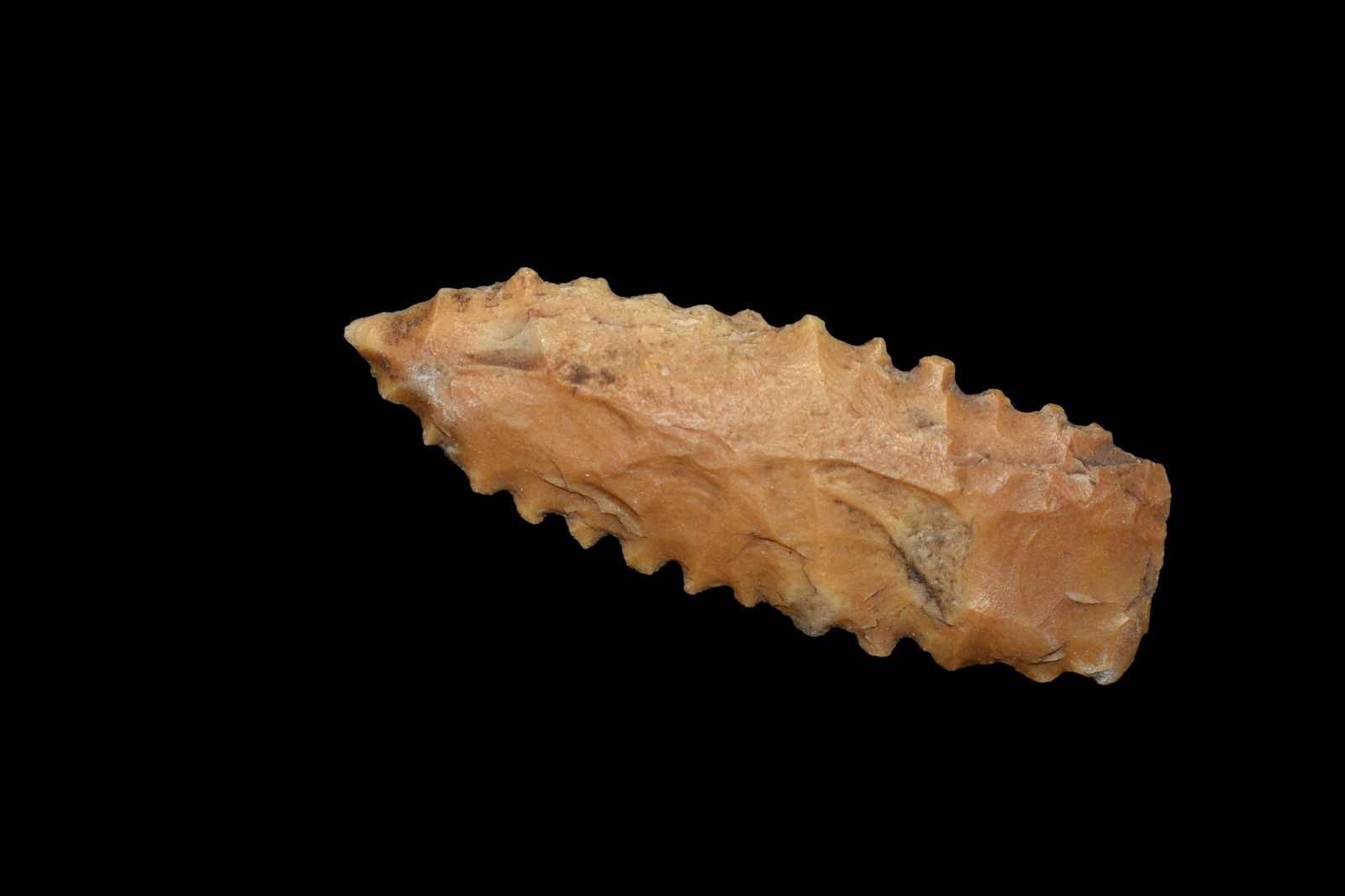 Wild Serrated Bird Point Found in Denton Co Missouri (1 of 4)