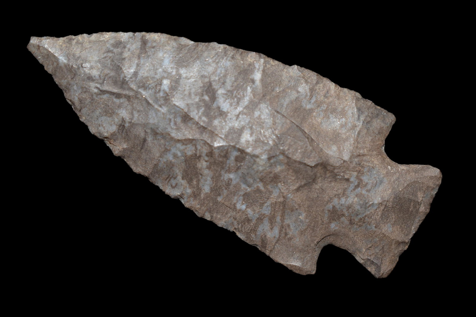 3" Bakers Creek Made of Fort Payne from Kentucky (1 of 5)