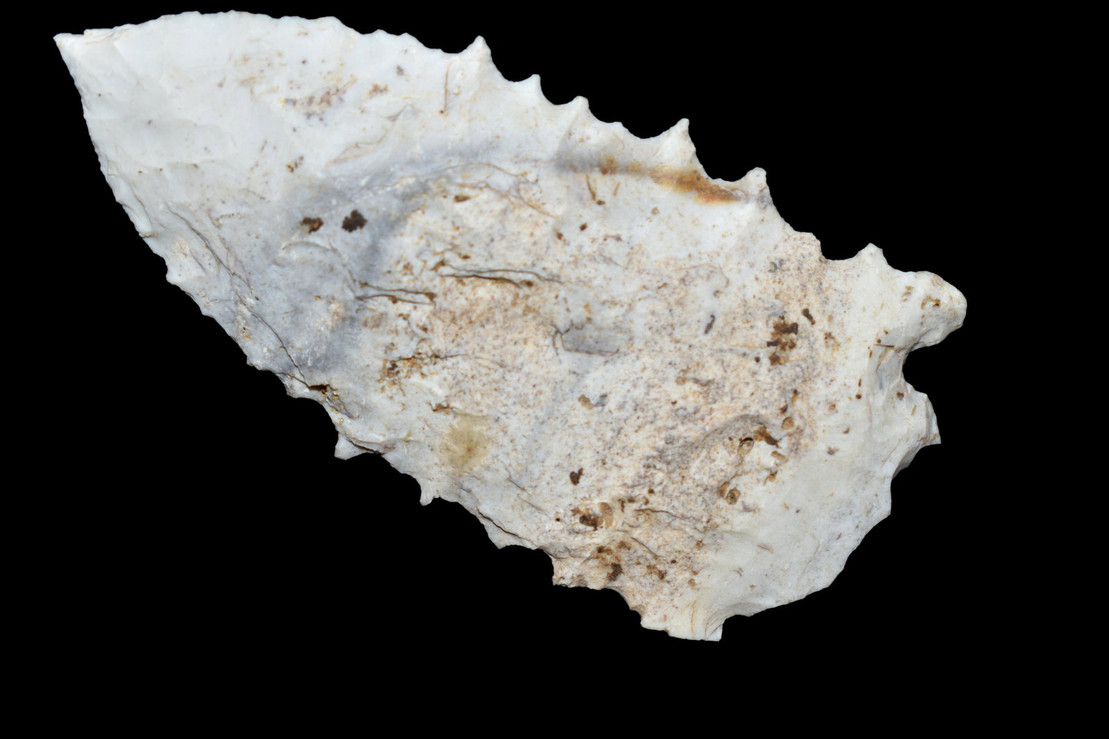 3" Kirk Point with heavy serrations Lasalle CO Illinois (1 of 6)