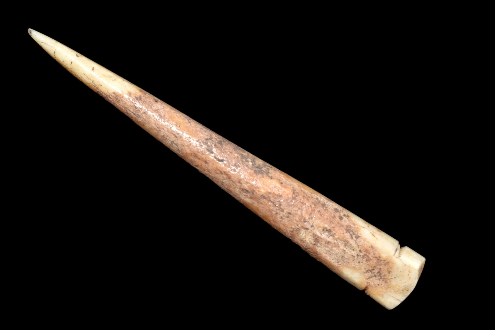 2 5/8" Notched Antler Needle Artifact. From Gallatin Co: 2 5/8" Notched Antler Needle Artifact. From Gallatin Co Illinois The Duffy Site