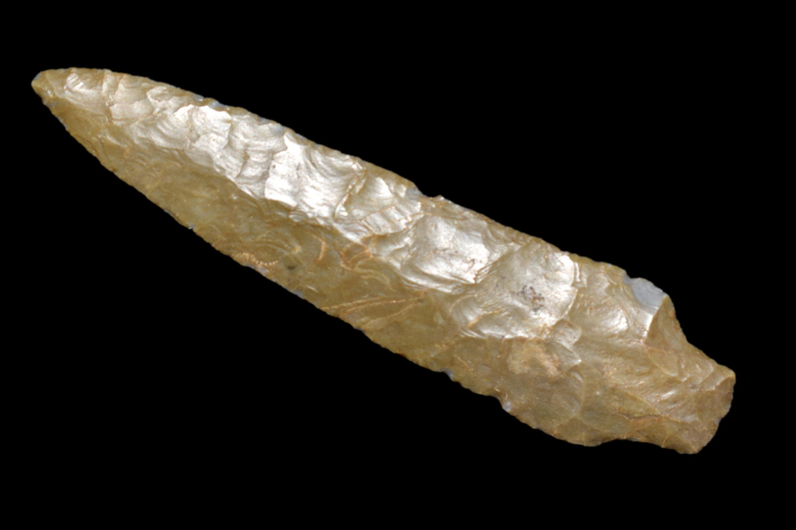 5 1/2" Elk River Made of Fort Payne Clark Co Illinois (1 of 5)