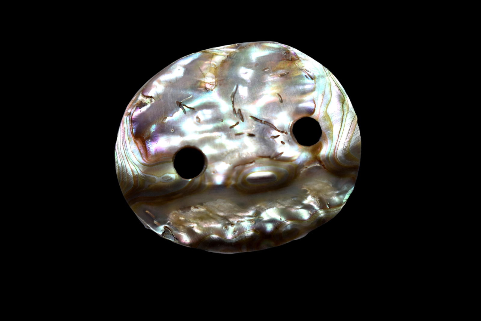 1 1/8" Drilled Abalone Shell Gorget from California (1 of 6)