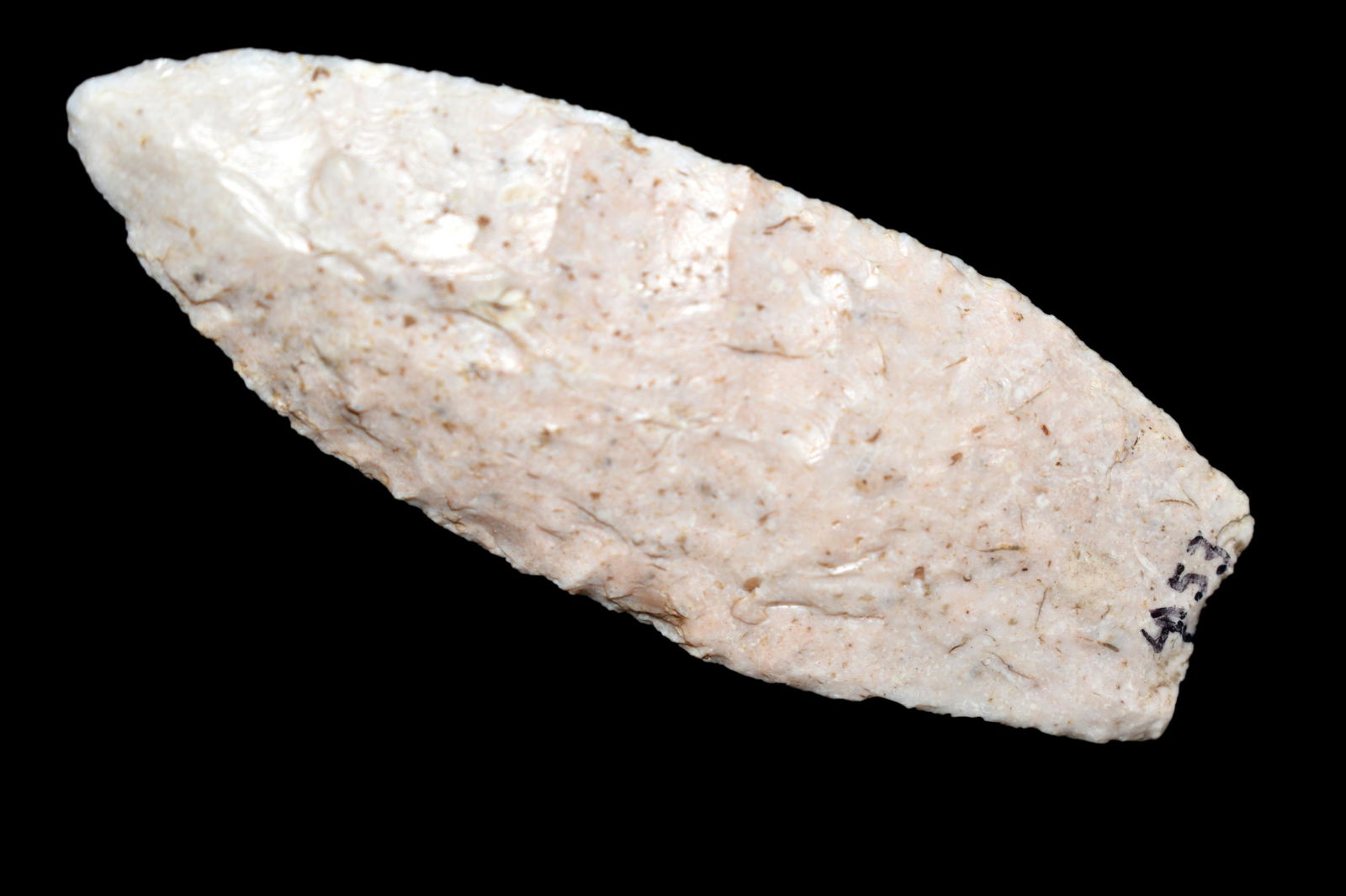 2 7/8" Paleo Angotstura Fulton Co Illinois Ex Dan (1 of 5)