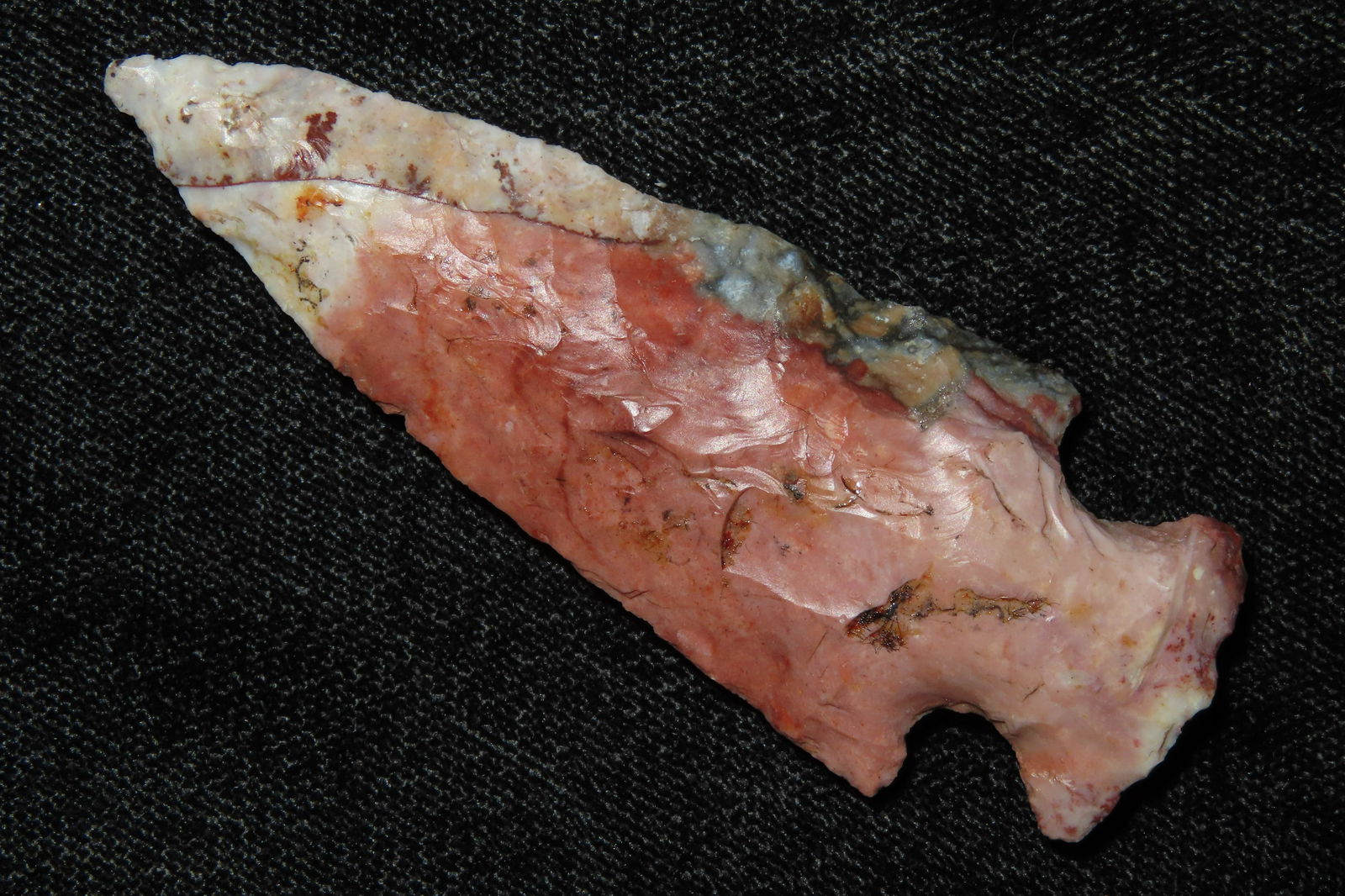 2 3/4" Hopewell Point with Motley COA.  Absolutely (1 of 12)