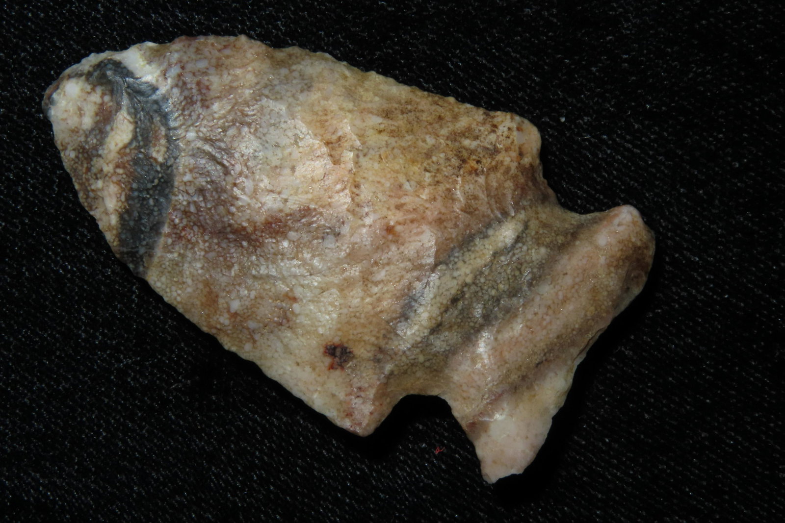 2" Woodland Side Notch with amazing color.  From the (1 of 9)