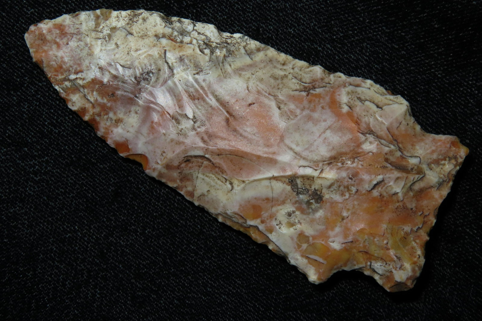 3 1/8" Rice Lobbed.  Super creek polish.  From the (1 of 11)