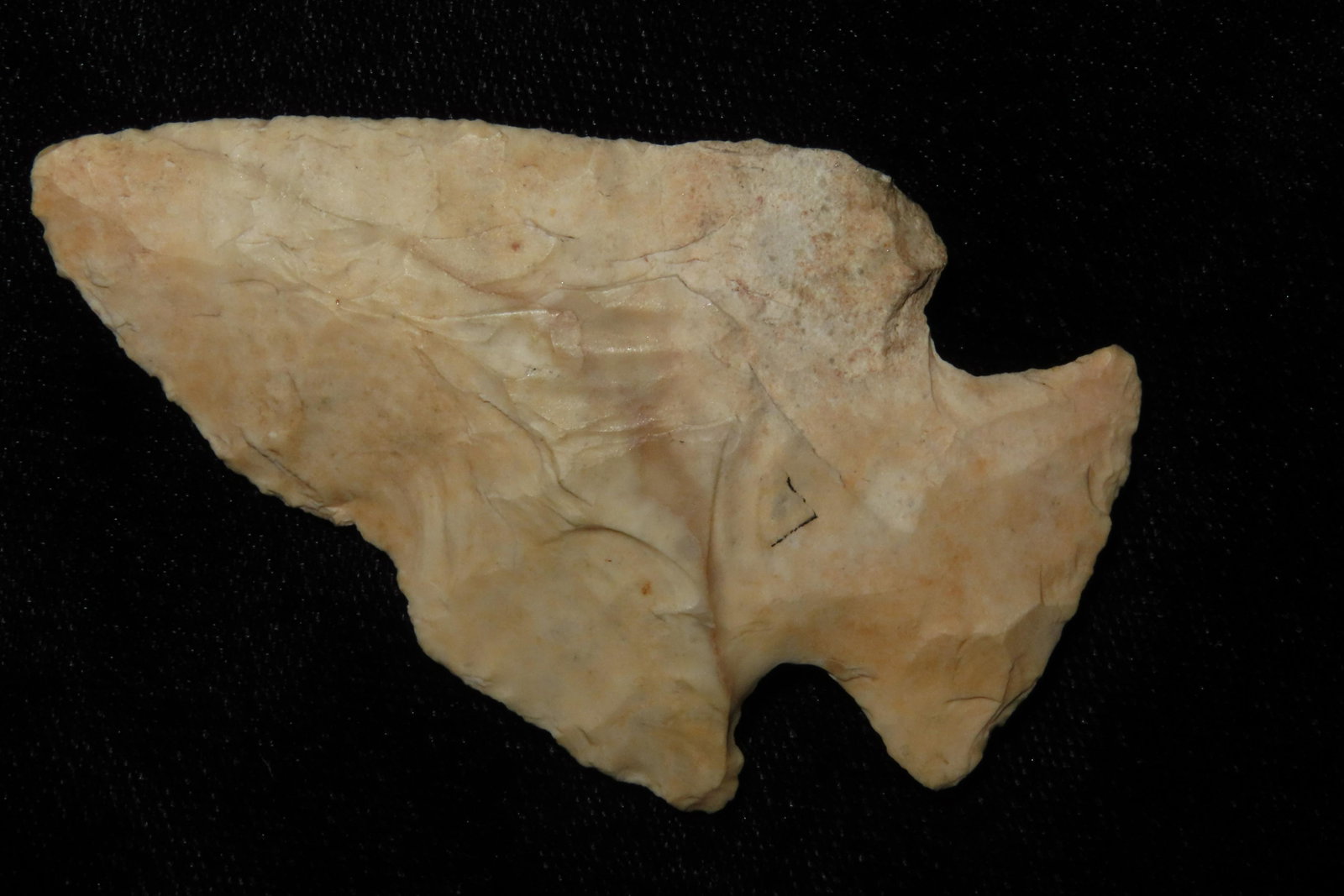 2 3/4" Snyders.  From the James and Joe George (1 of 10)