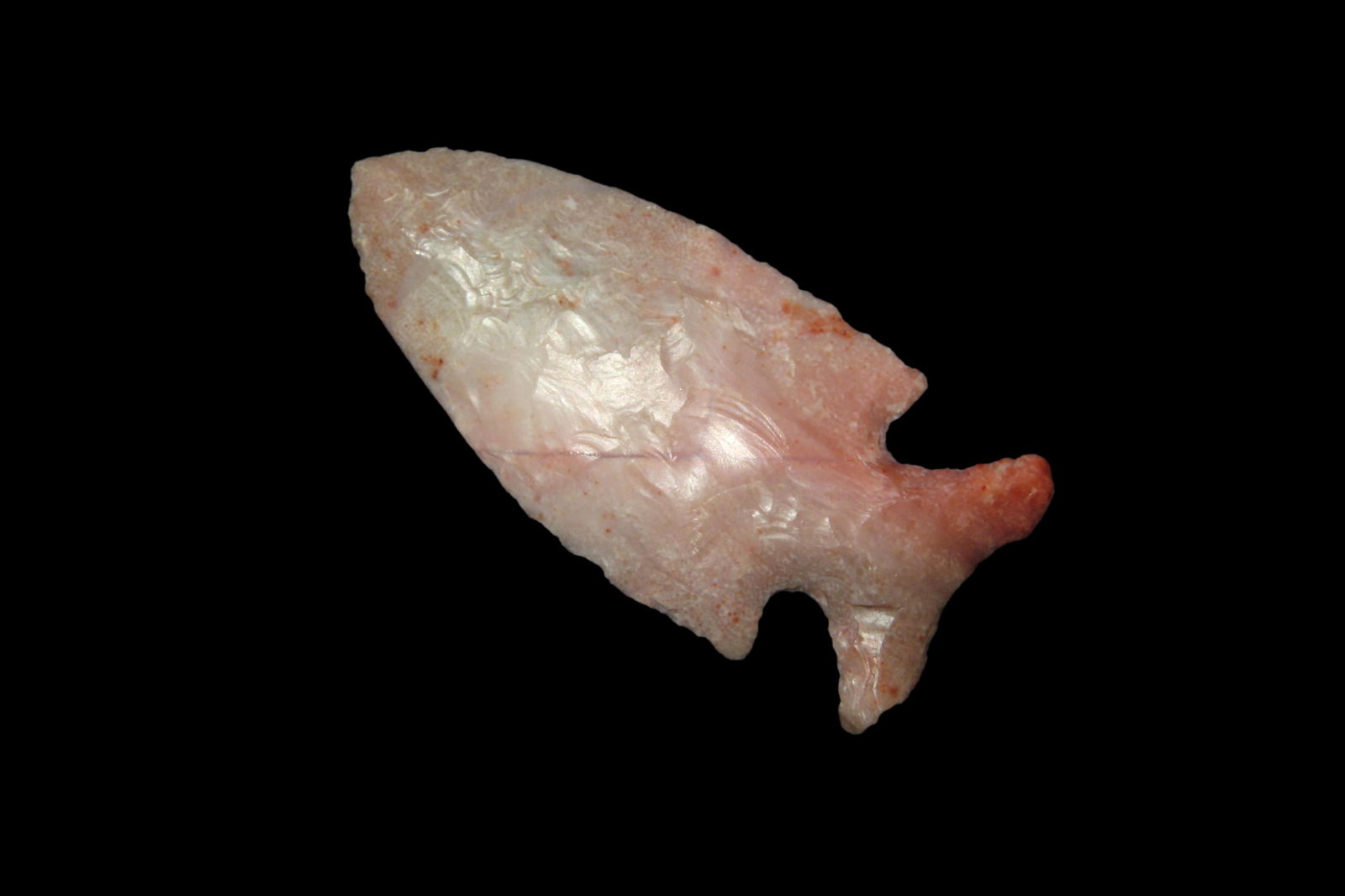 1 3/4" Jack's Reef, Ex Tim Terwelp (1 of 9)