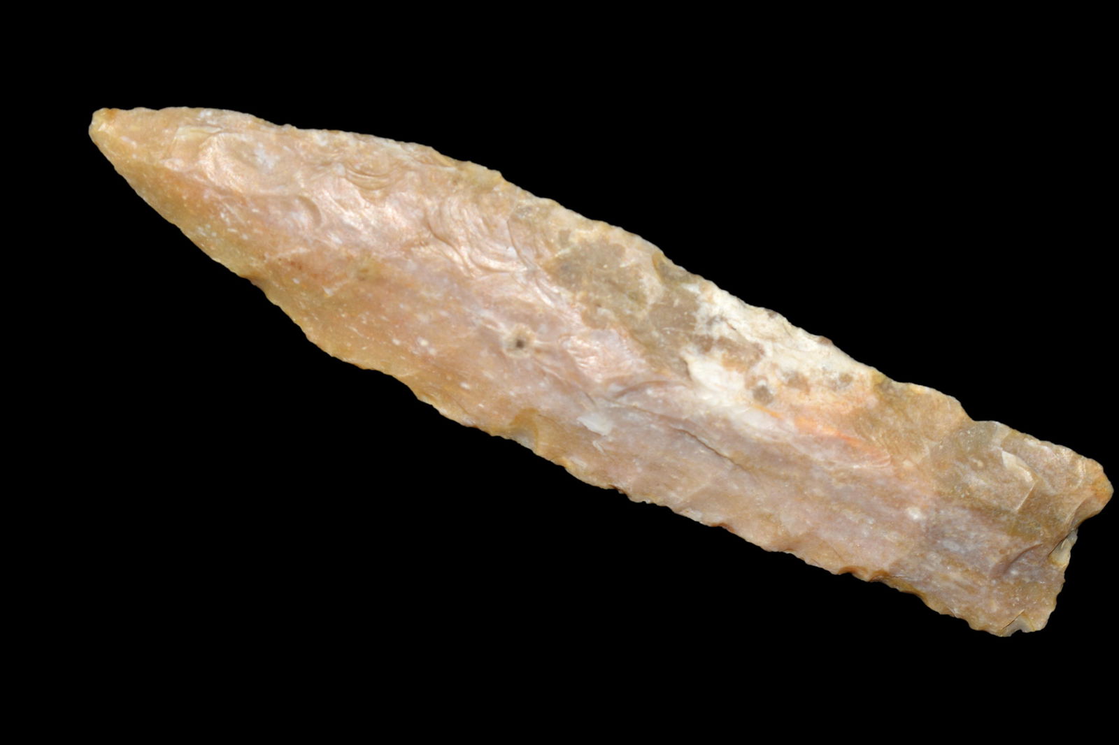 5 1/4" Sedalia found by Brandon hunt in Adams co, (1 of 10)