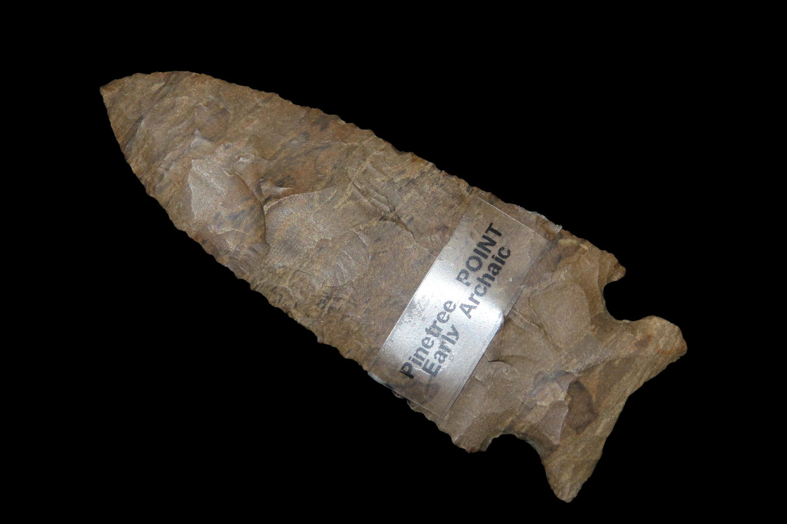 3 5/8" Pinetree, Dickey COA, Decatur, found by Bill (1 of 6)