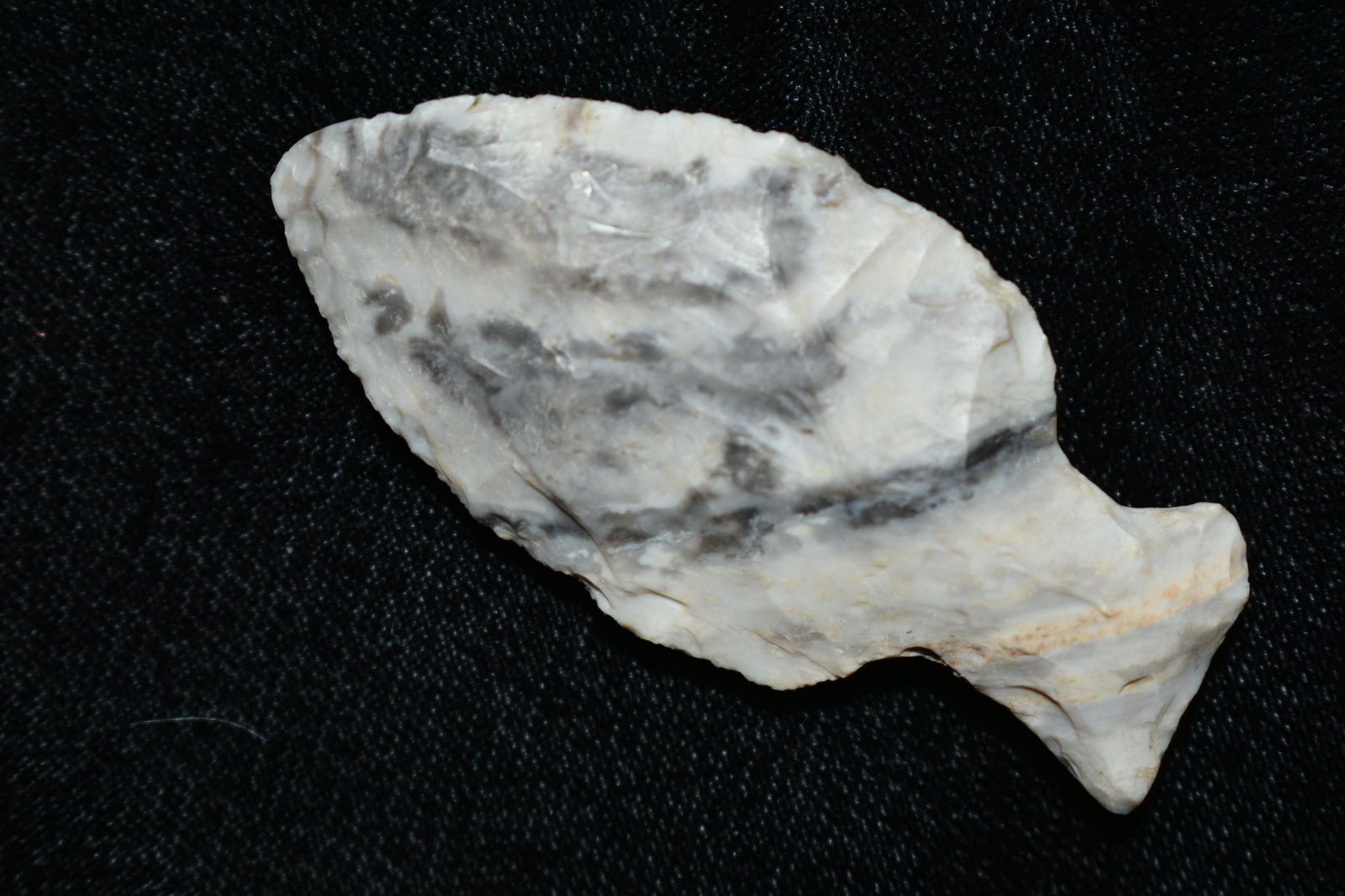 2 1/8" Table Rock Meadows COA found in Saline Co, (1 of 11)