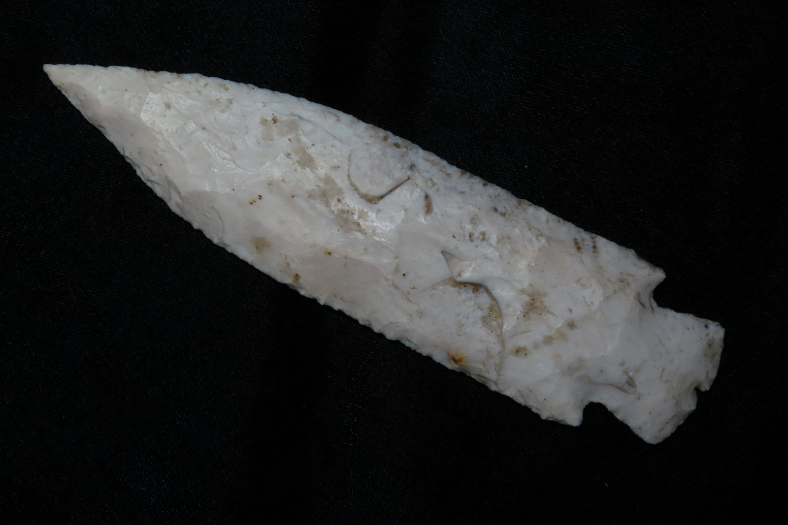 5 7/8" Etley 2X COA's Meadows, Motley with fossil (1 of 14)