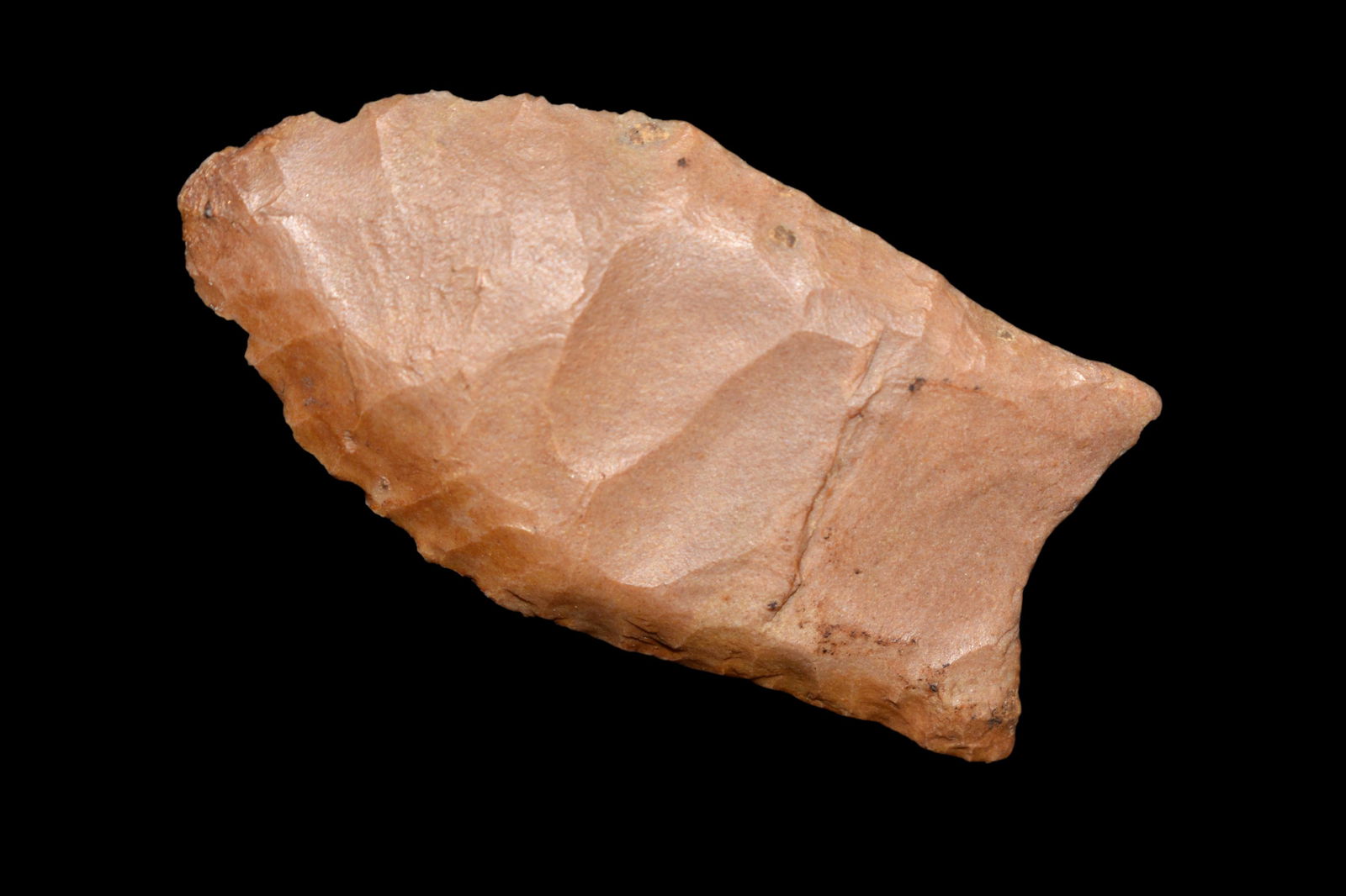 2 3/8" Clovis 2x COA Dickey/Howard COA's made from (1 of 10)