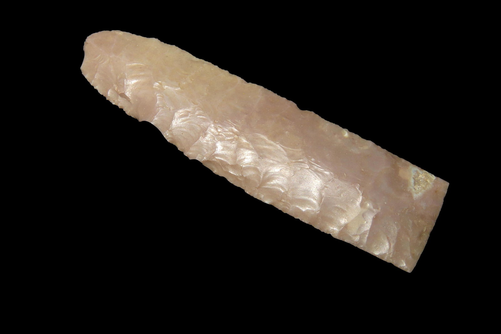 2 9/16" Eden Motley COA, Cody Complex, found in WY (1 of 5)