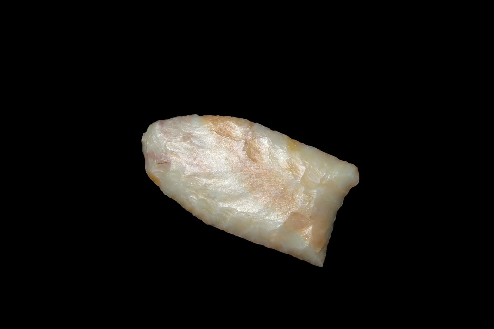 1 3/16" Goshen, Motley COA, found in CO (1 of 5)