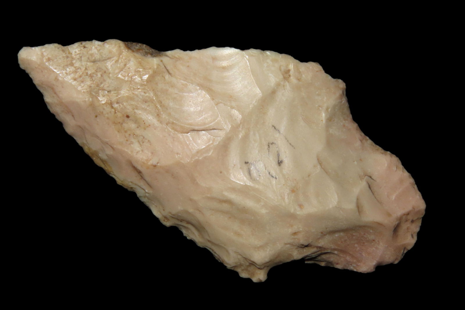 2 7/16" Adena found in Calhoun Co, Illinois. (1 of 7)