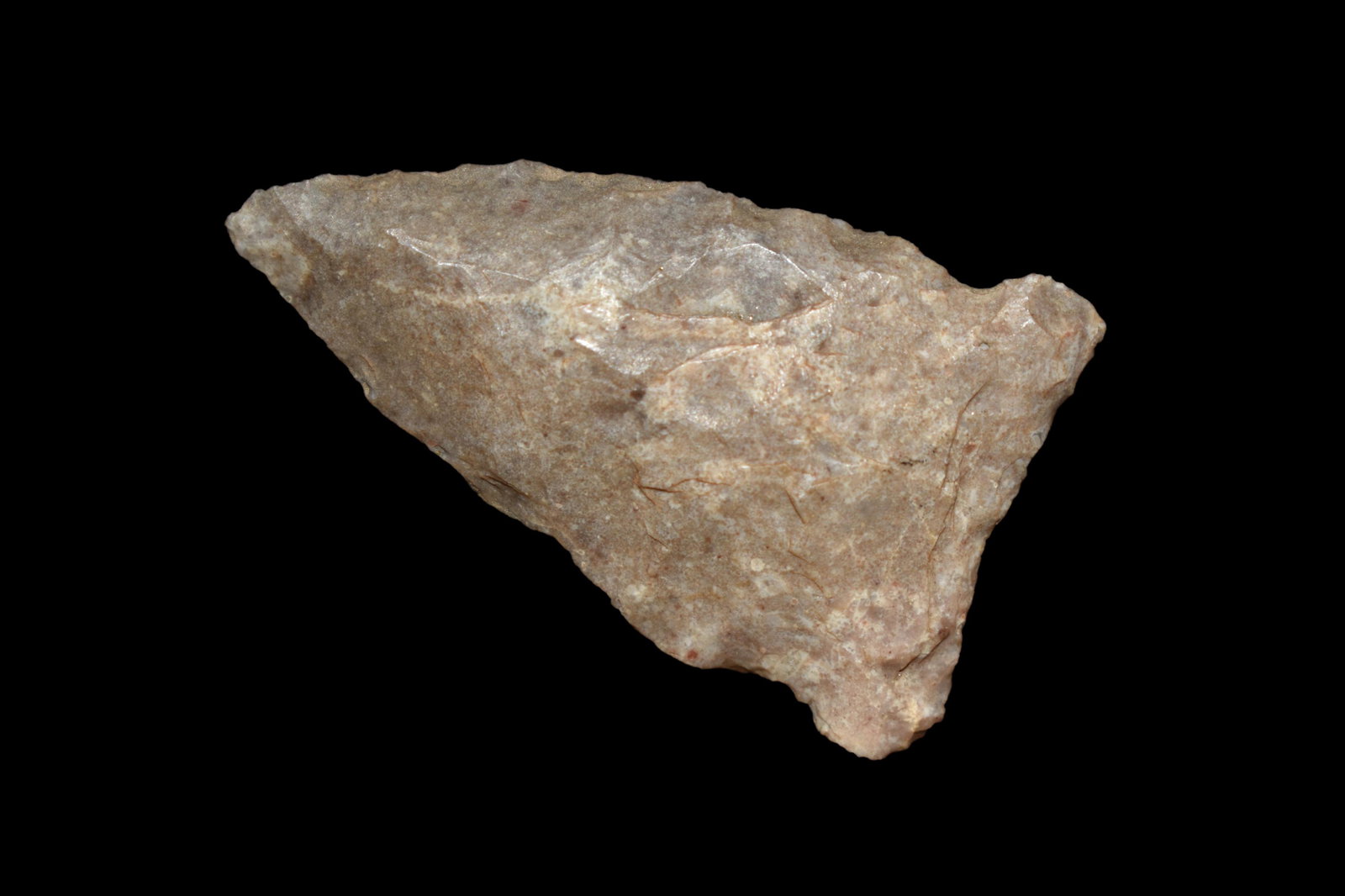 1 9/16" Brewerton Eared Point found in Texas. (1 of 4)