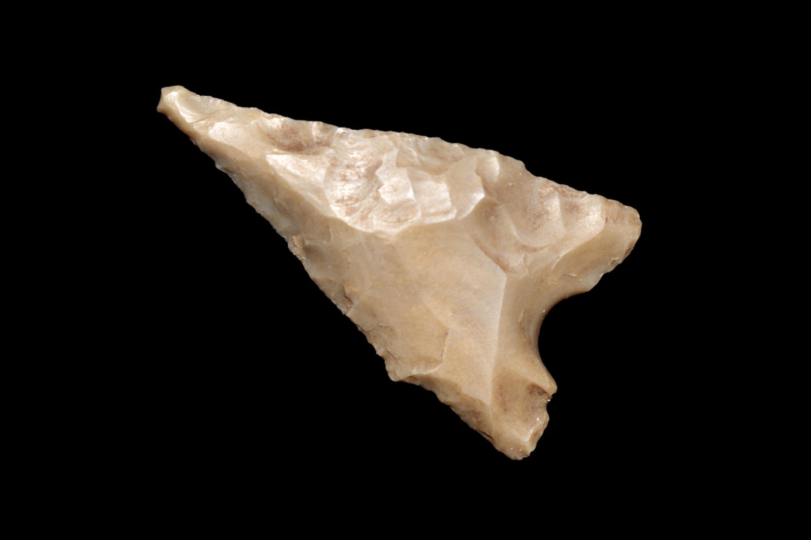 1 15/16" Jetta Point found in Texas. (1 of 6)