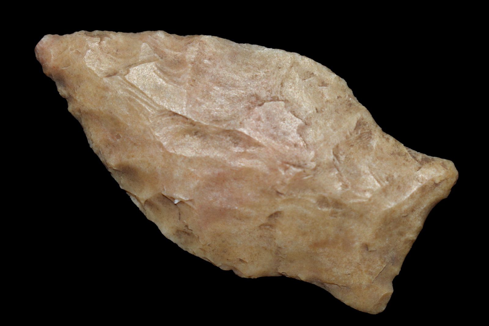 2 3/16" San Pennsylvaniatrice found in Texas. (1 of 6)