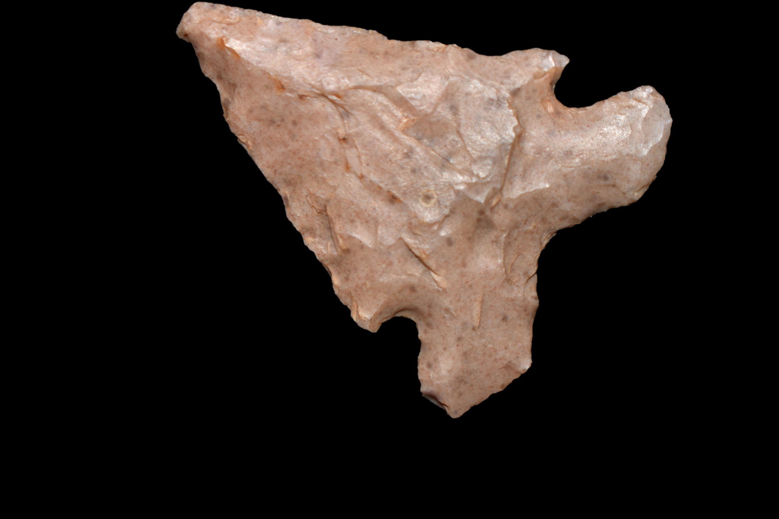 1 5/8" Frio Point found in Texas. (1 of 7)