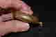 item-119910106=3