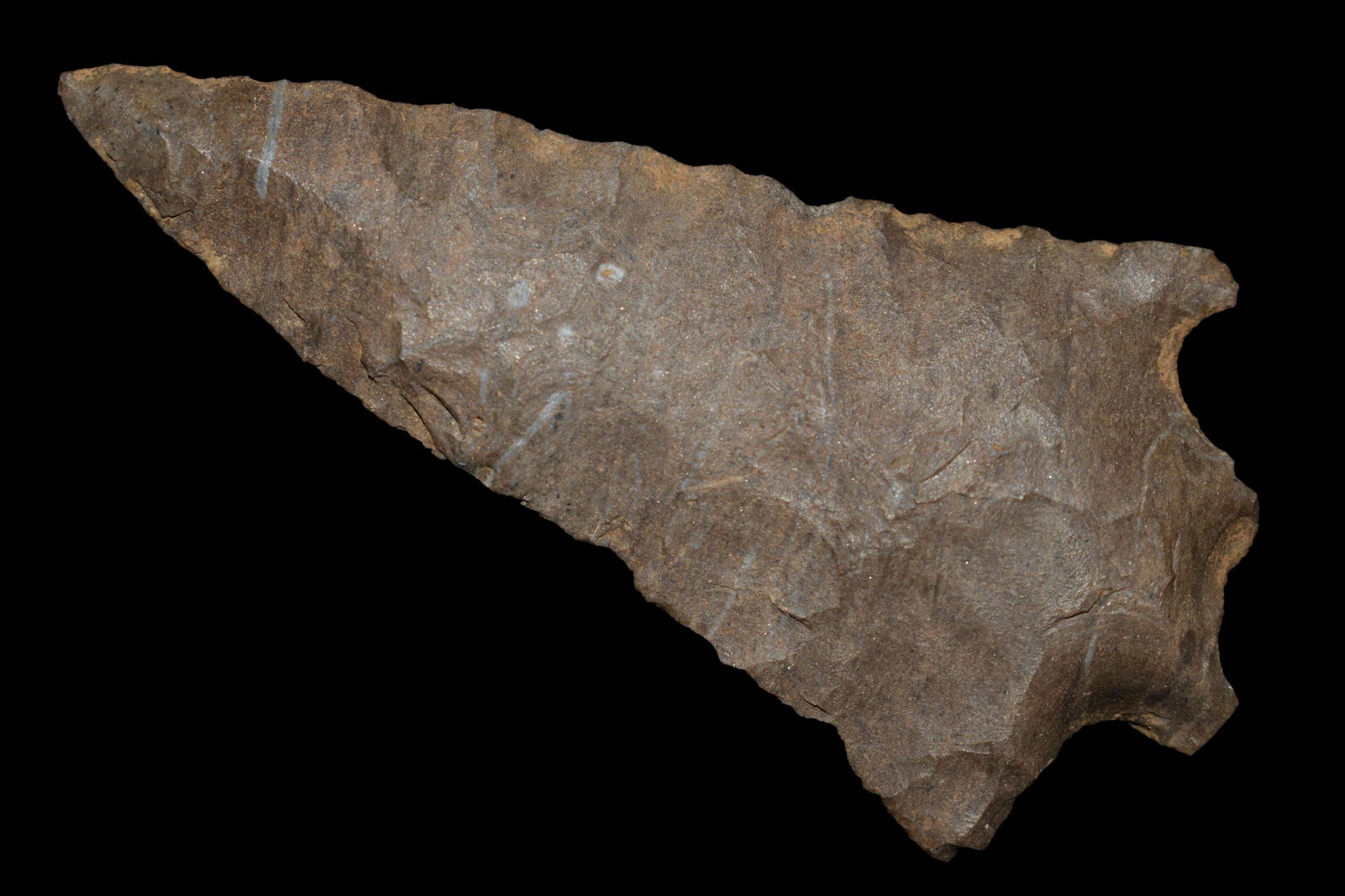 2 3/4" Pickwick found in kentucky. (1 of 4)