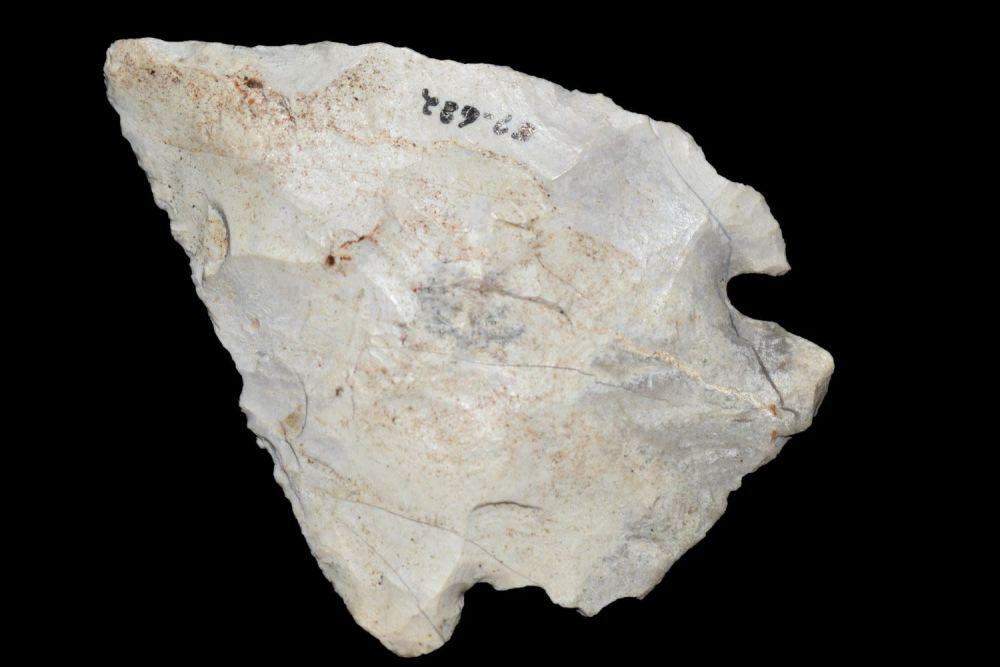 2 5/8" Corner Notch, from Northeast Arkansas, Authentic (1 of 4)