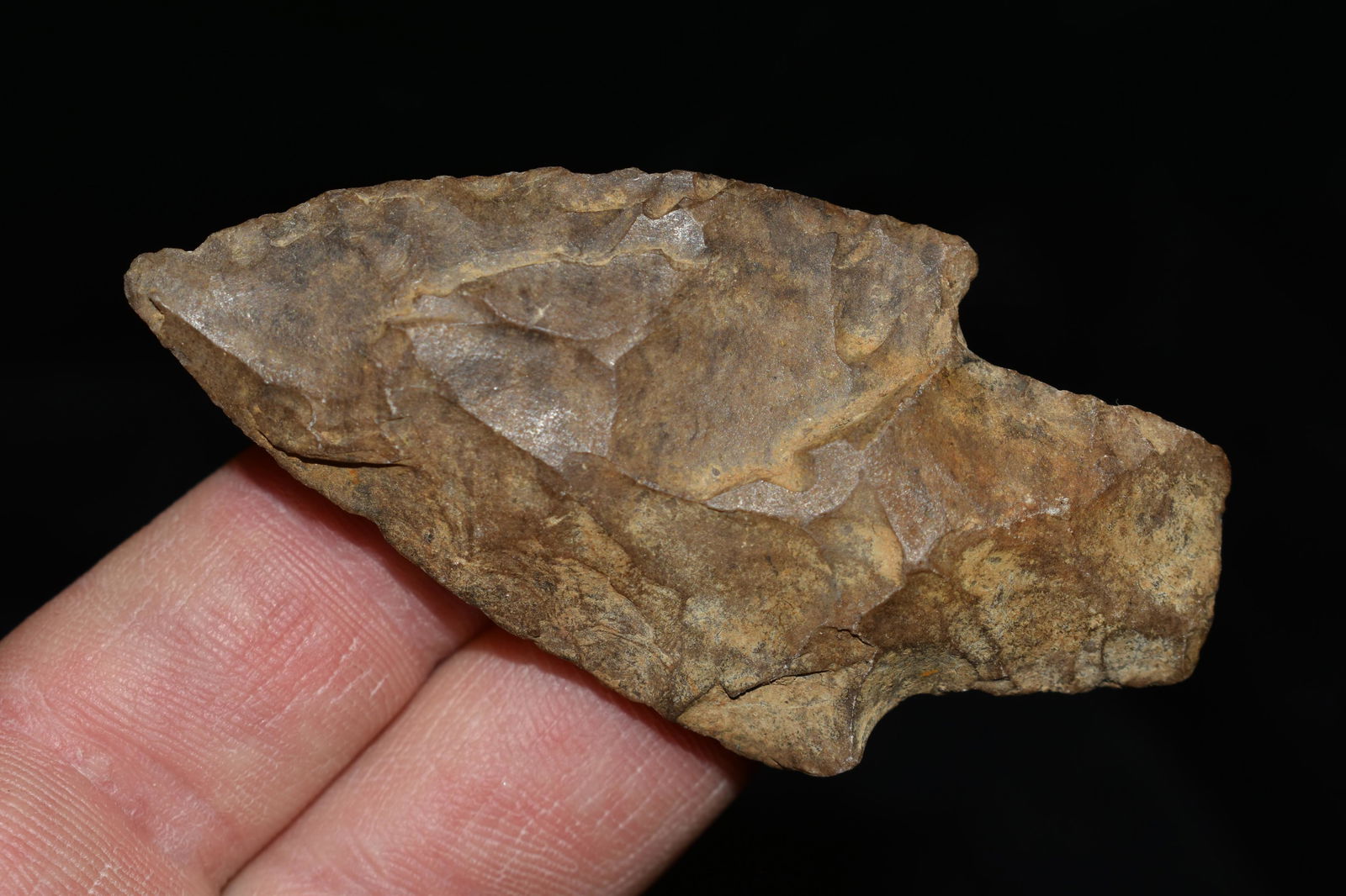2 5/8" Stemmed Point, Found by Wesley Holland, Hardin (1 of 4)