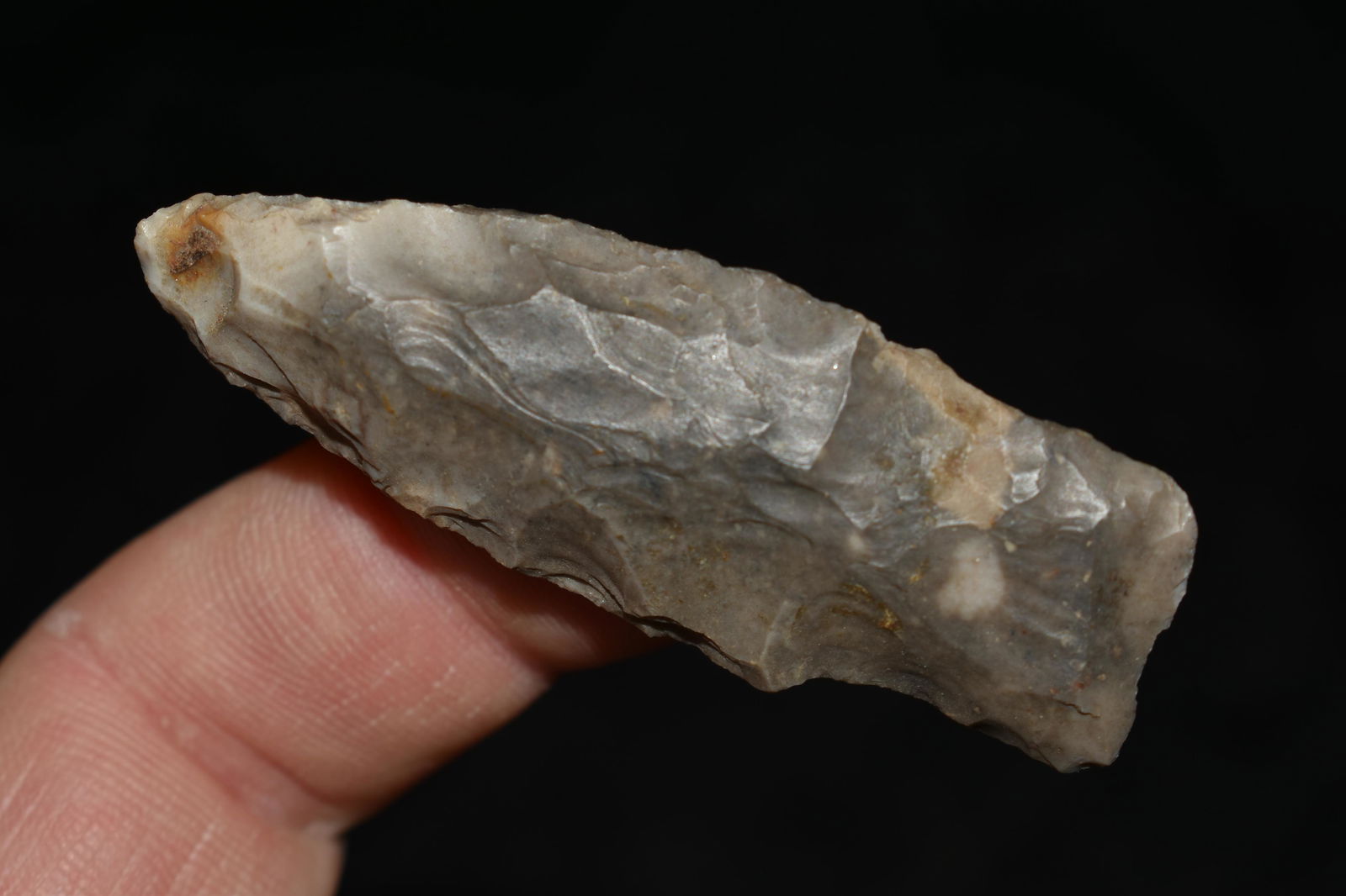 2 1/4" Square Stem, Found by Wesley Holland, Hardin Co. (1 of 4)