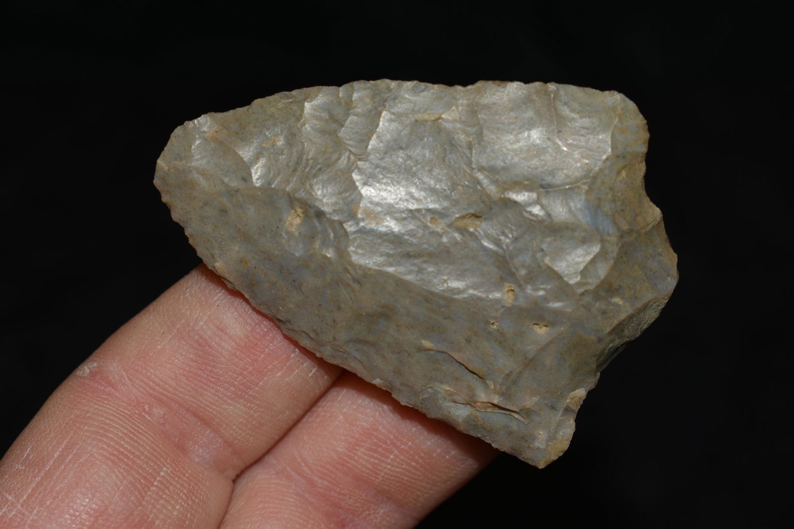 2 1/8" Morrow Mountain, Found by Wesley Holland, Hardin (1 of 3)
