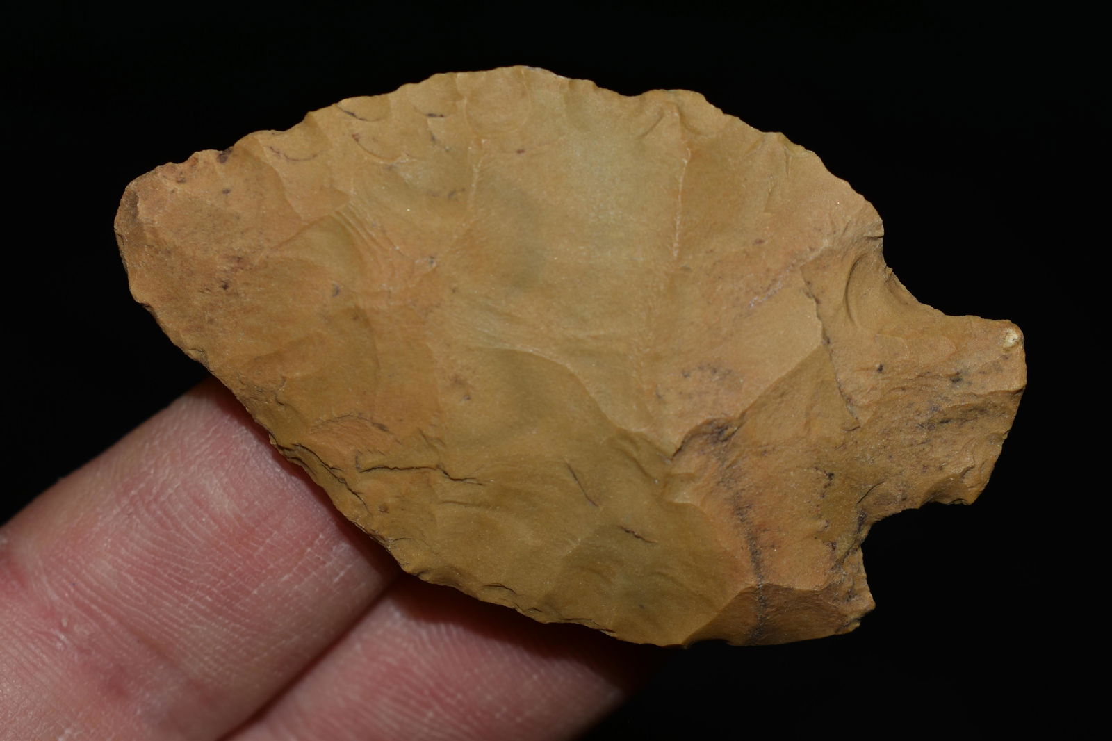 2 3/8" Arrowhead, Found in Morgan Co. Alabama by George (1 of 4)
