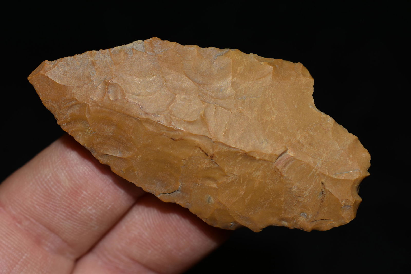 2 1/2" Stemmed Point, Found by Wesley Holland in Hardin (1 of 4)